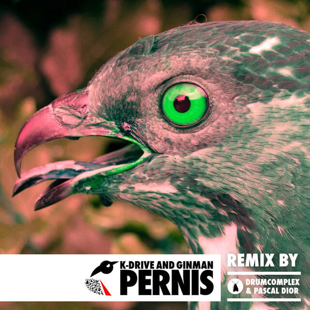 Релиз Pernis