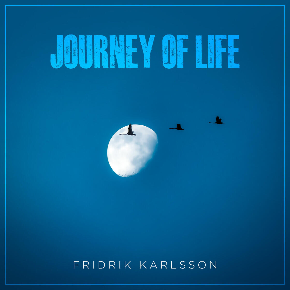 Релиз Journey of Life