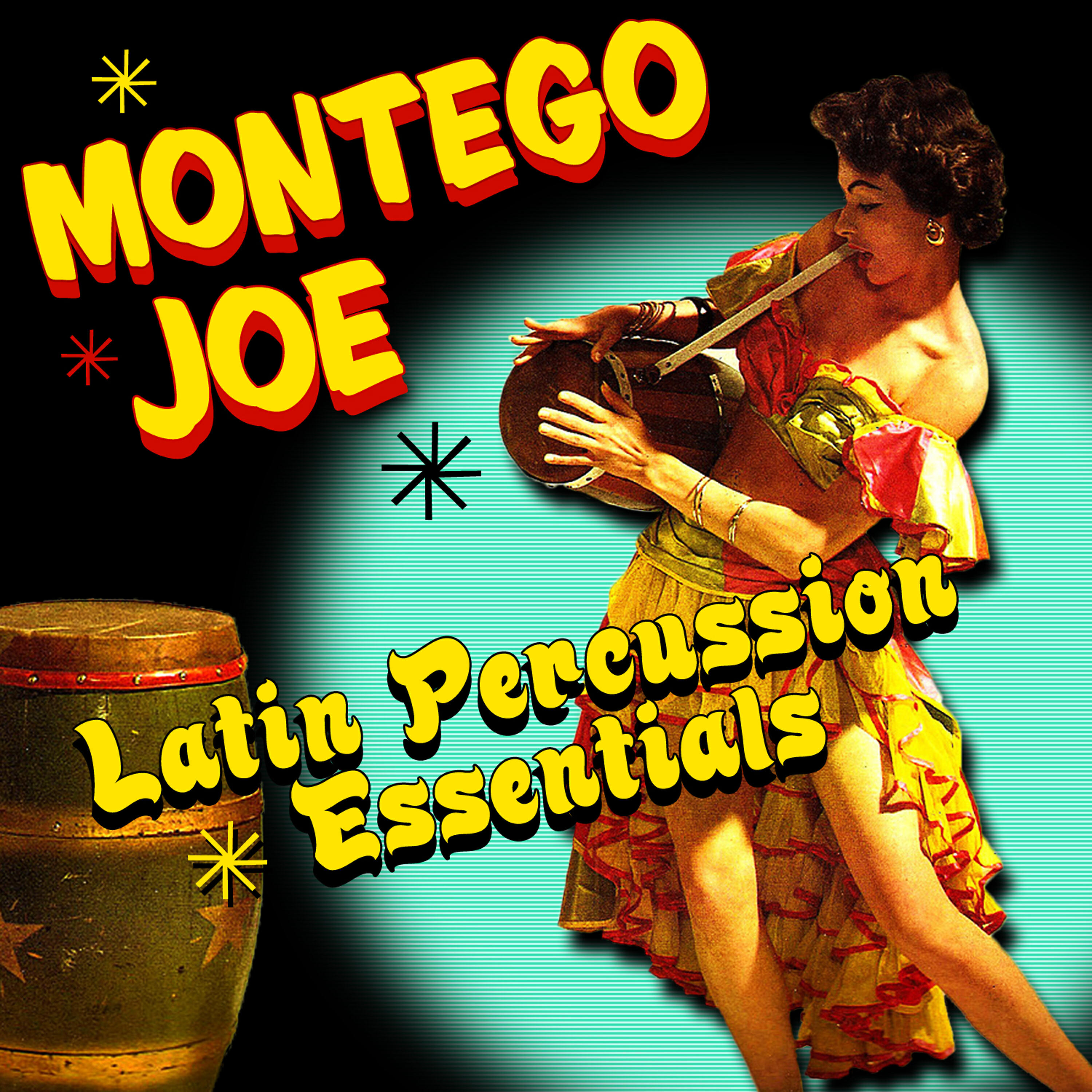 Релиз Latin Percussion Essentials