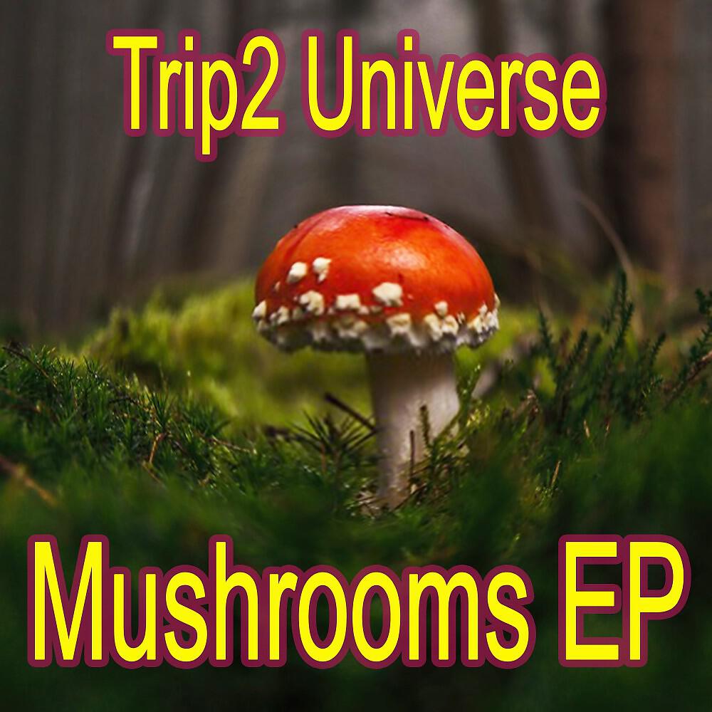 Релиз Mushrooms EP