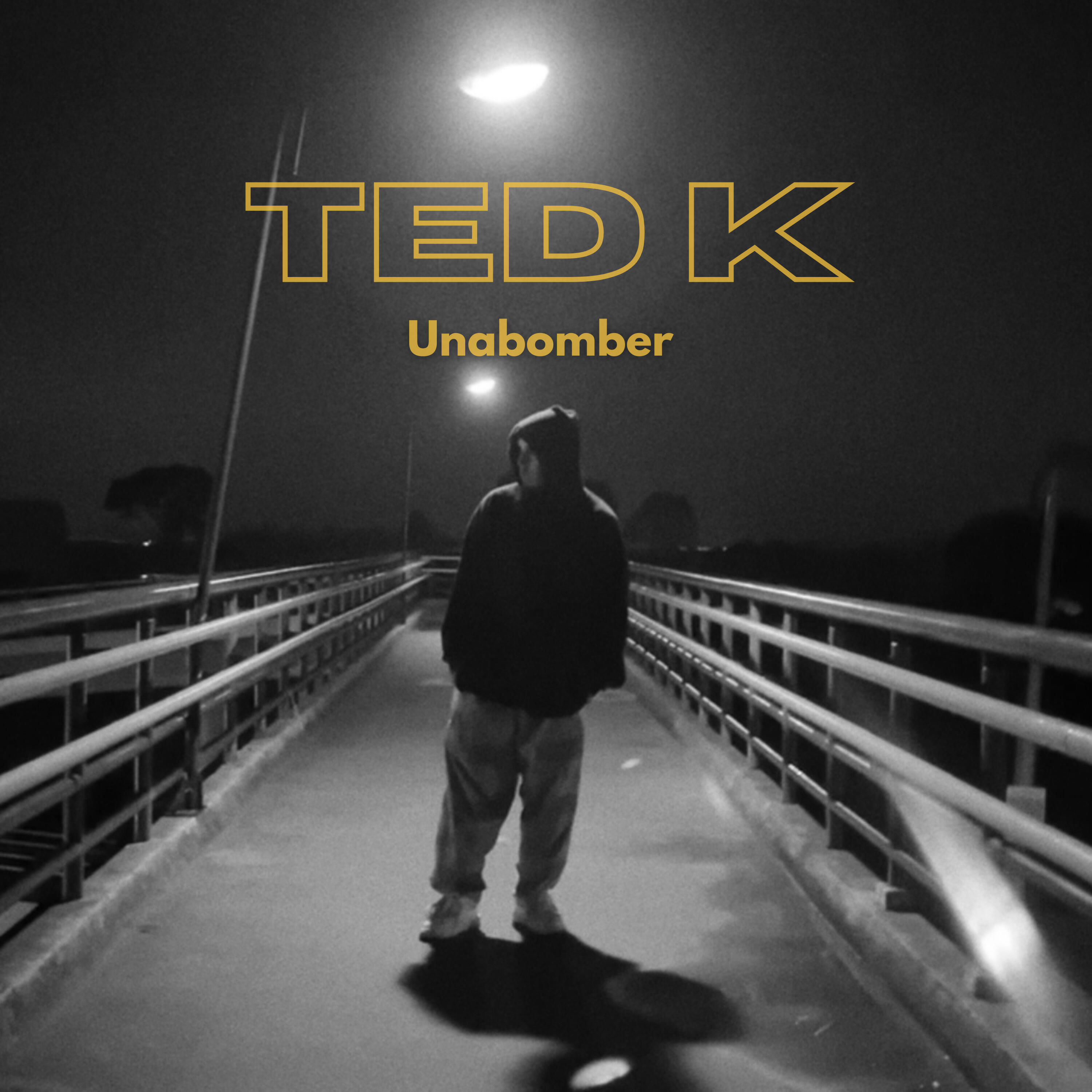 Релиз Ted K