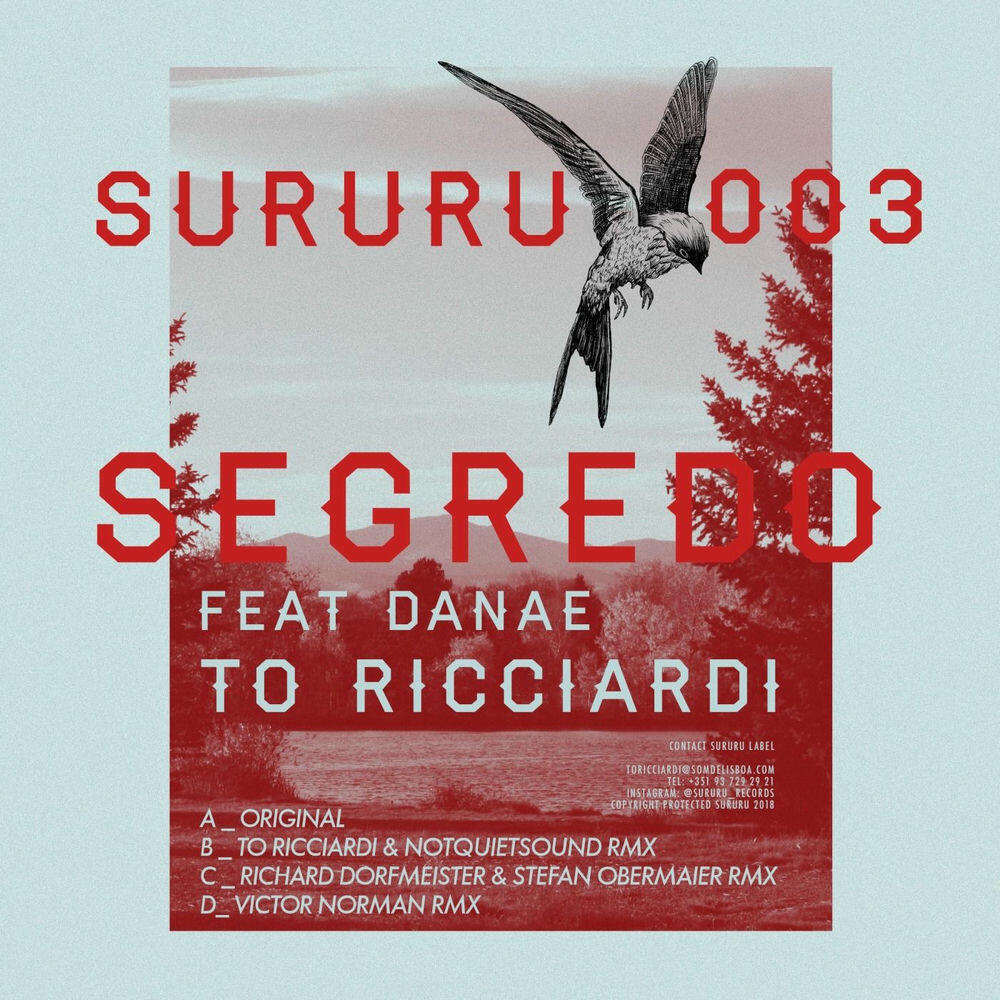 Релиз Segredo Feat Danae