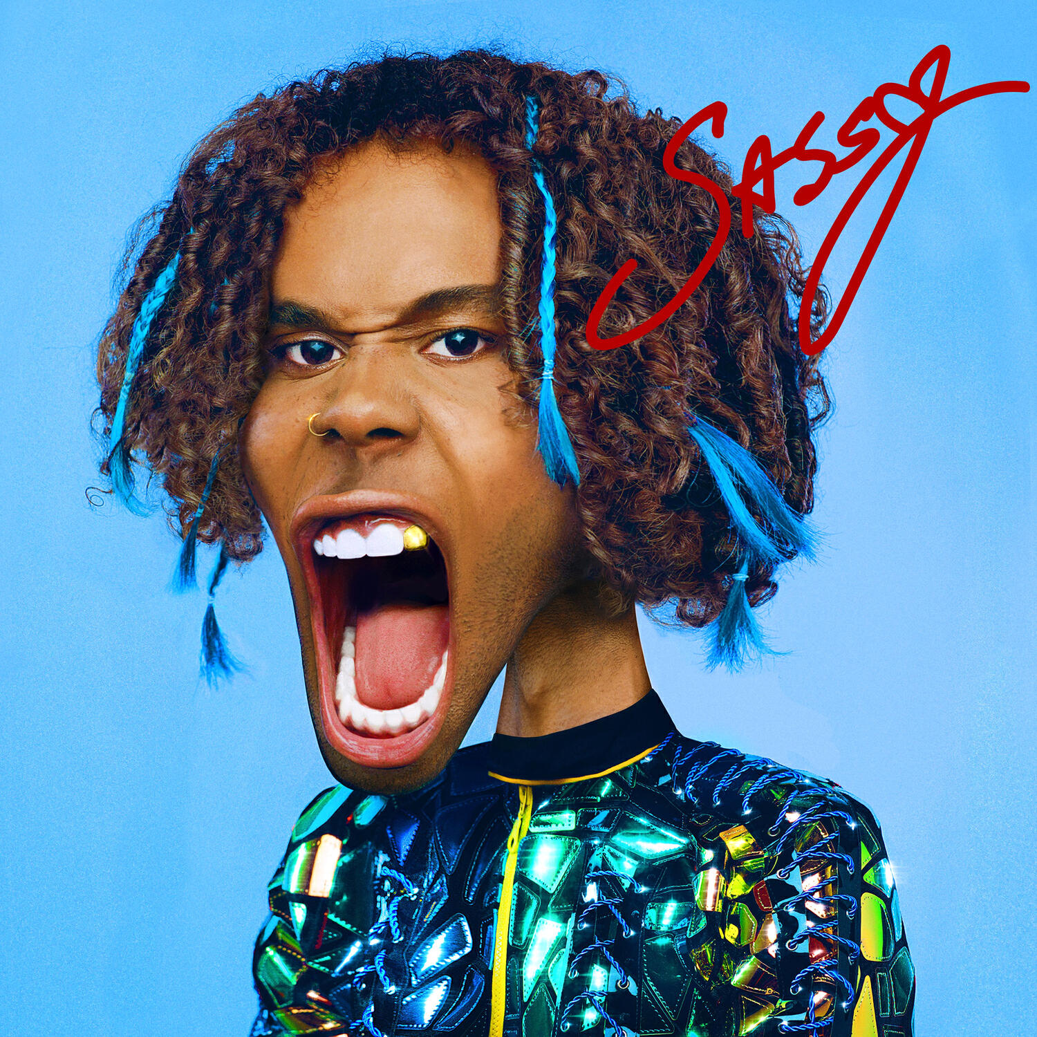 Релиз SASSY