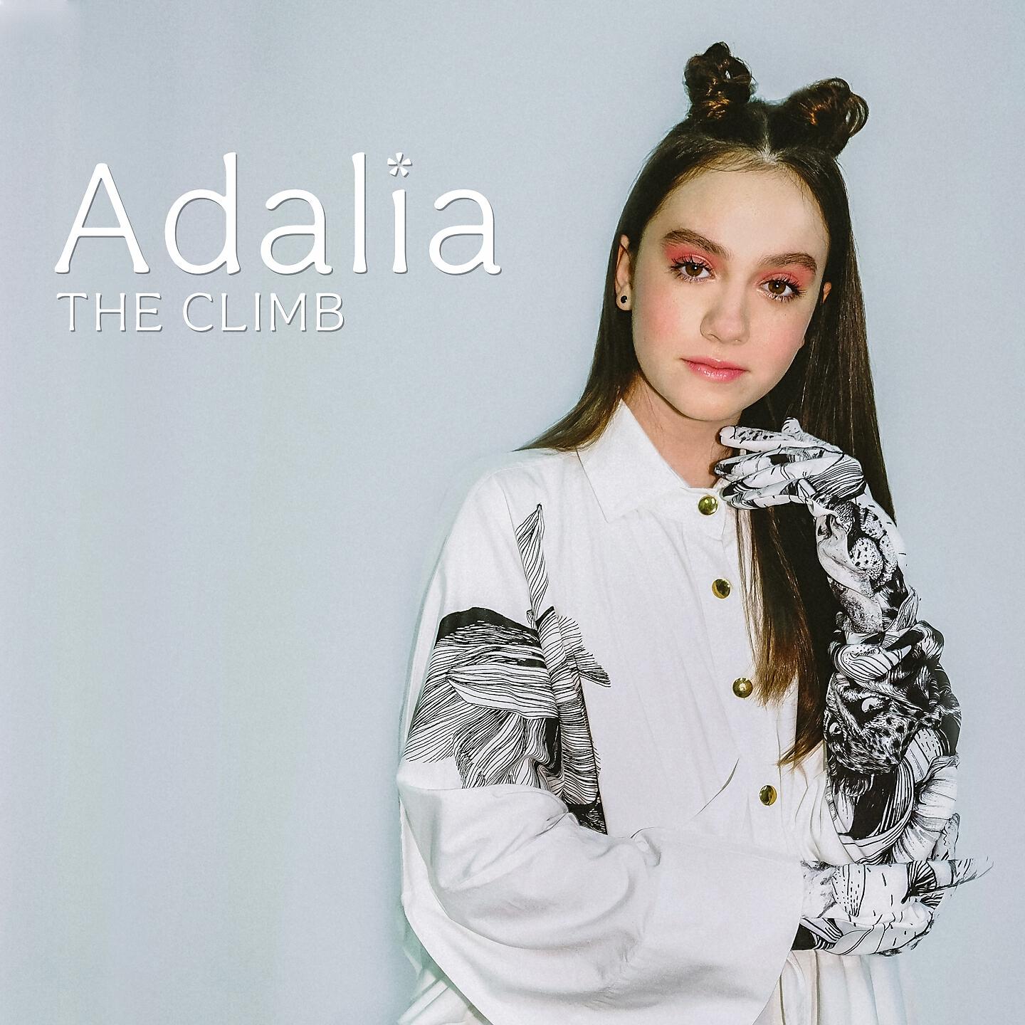 Релиз The Climb