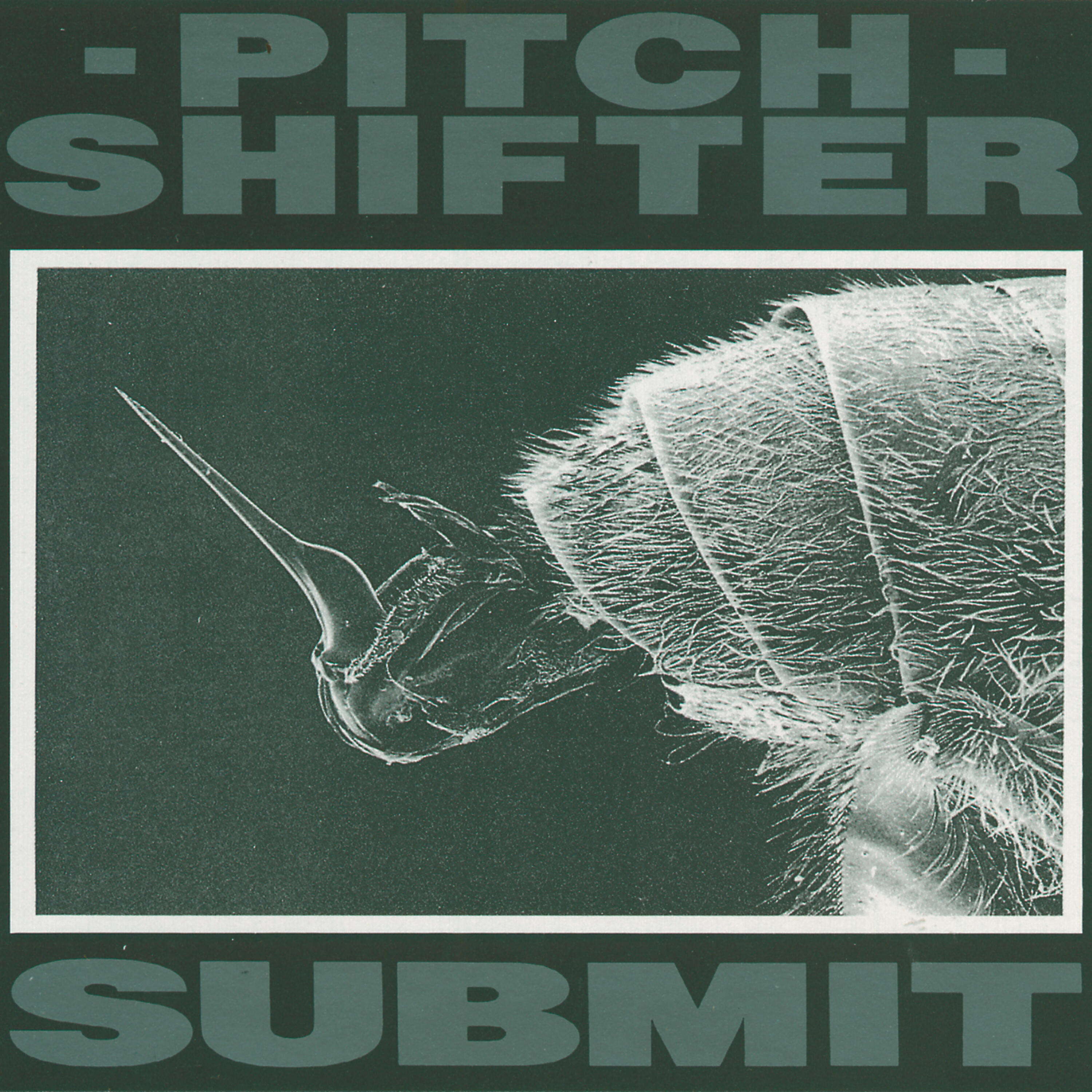 Релиз Submit