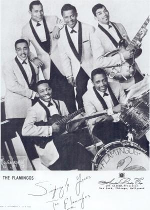 The Flamingo