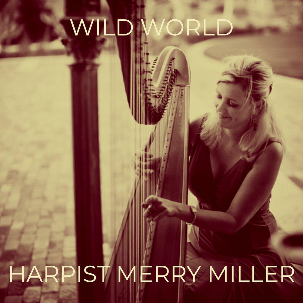 Релиз Wild World