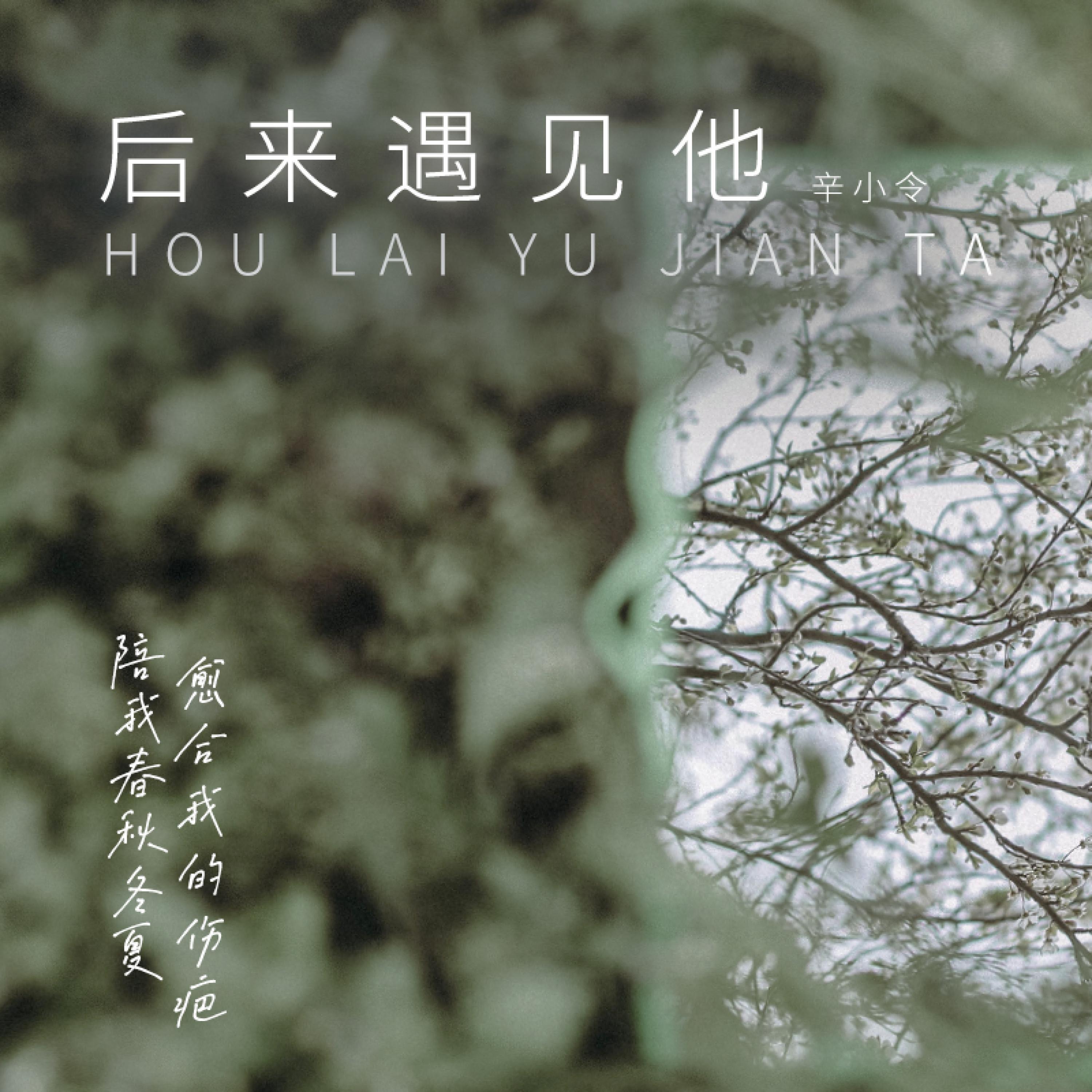 辛小令
