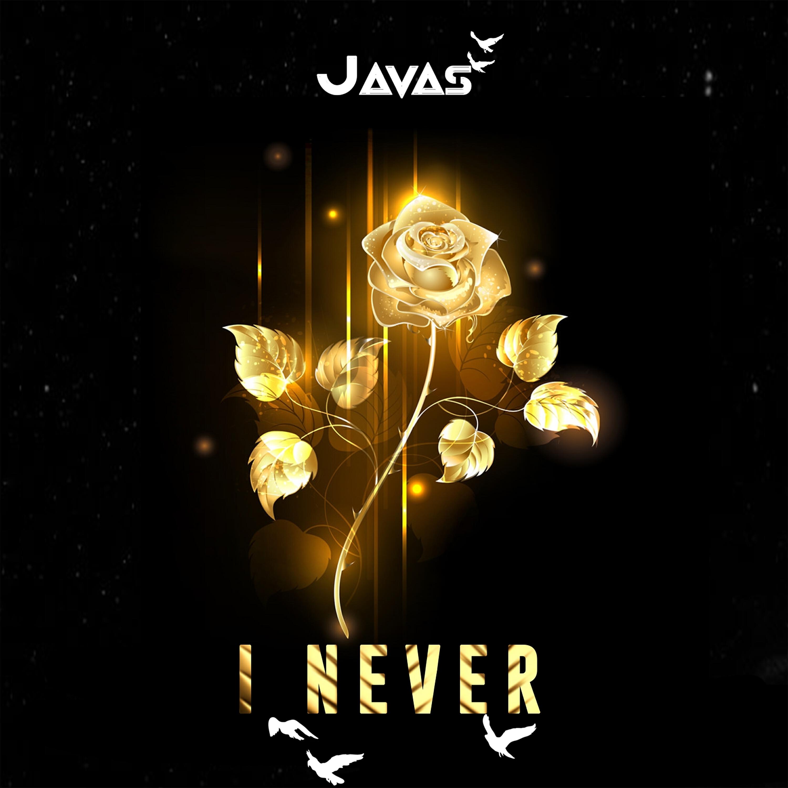 Релиз I Never