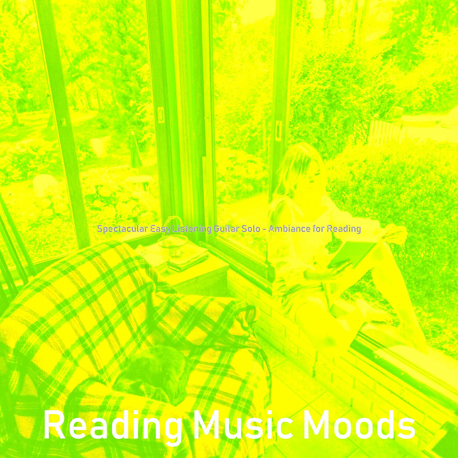 Постер альбома Spectacular Easy Listening Guitar Solo - Ambiance for Reading