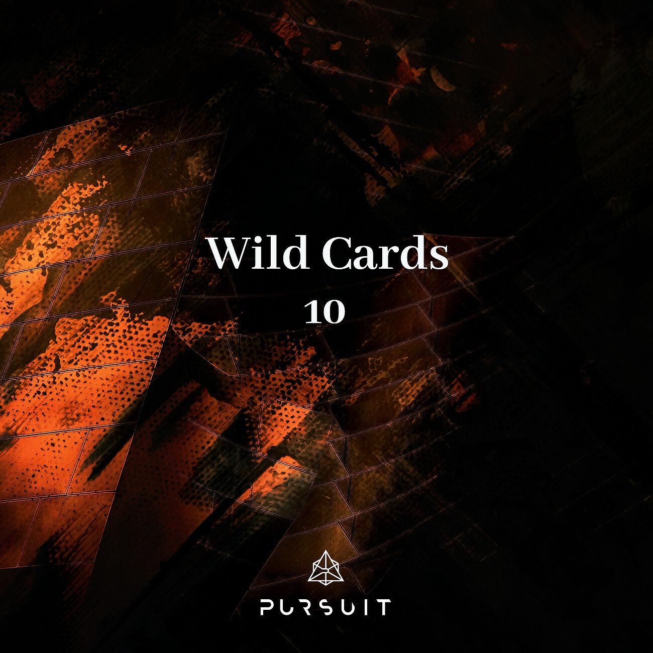 Релиз Wild Cards 10