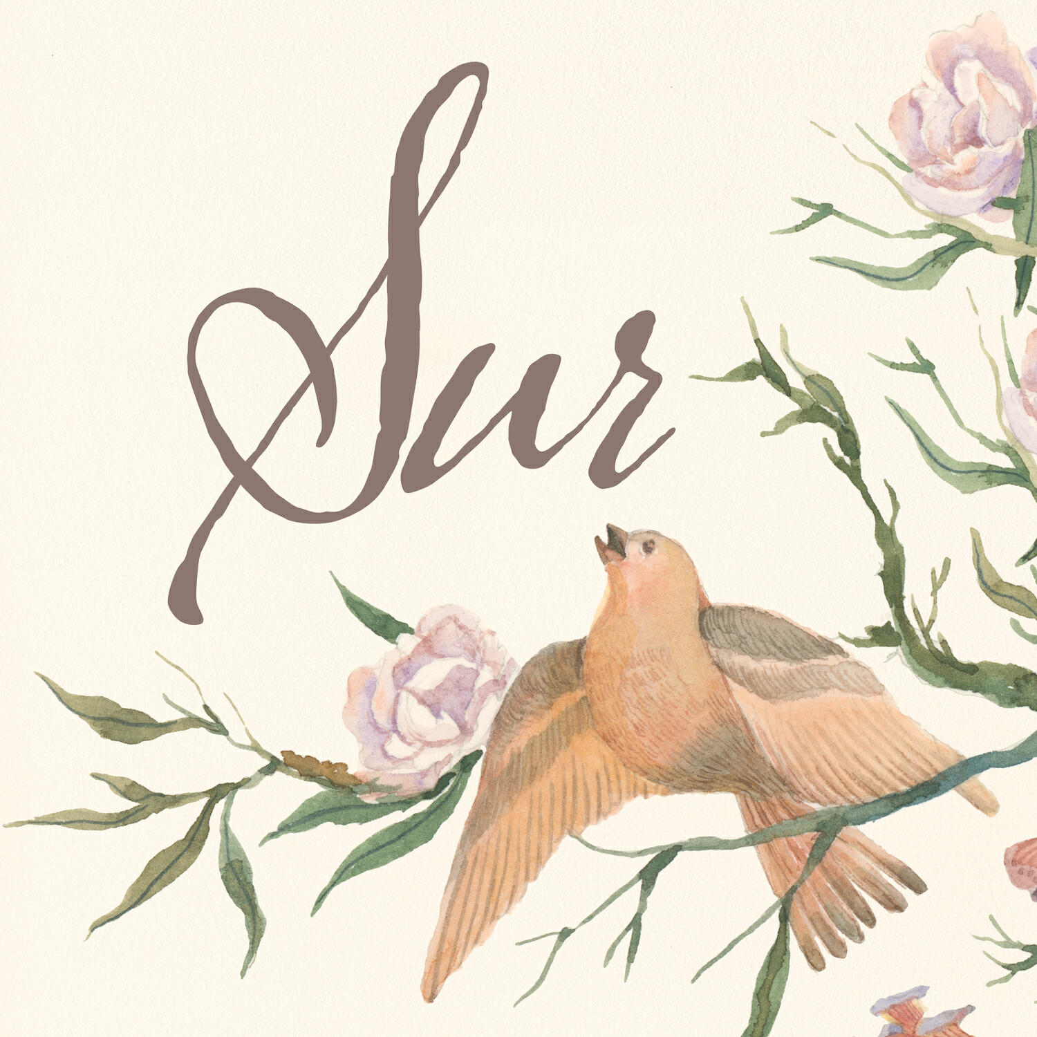 Релиз Sur
