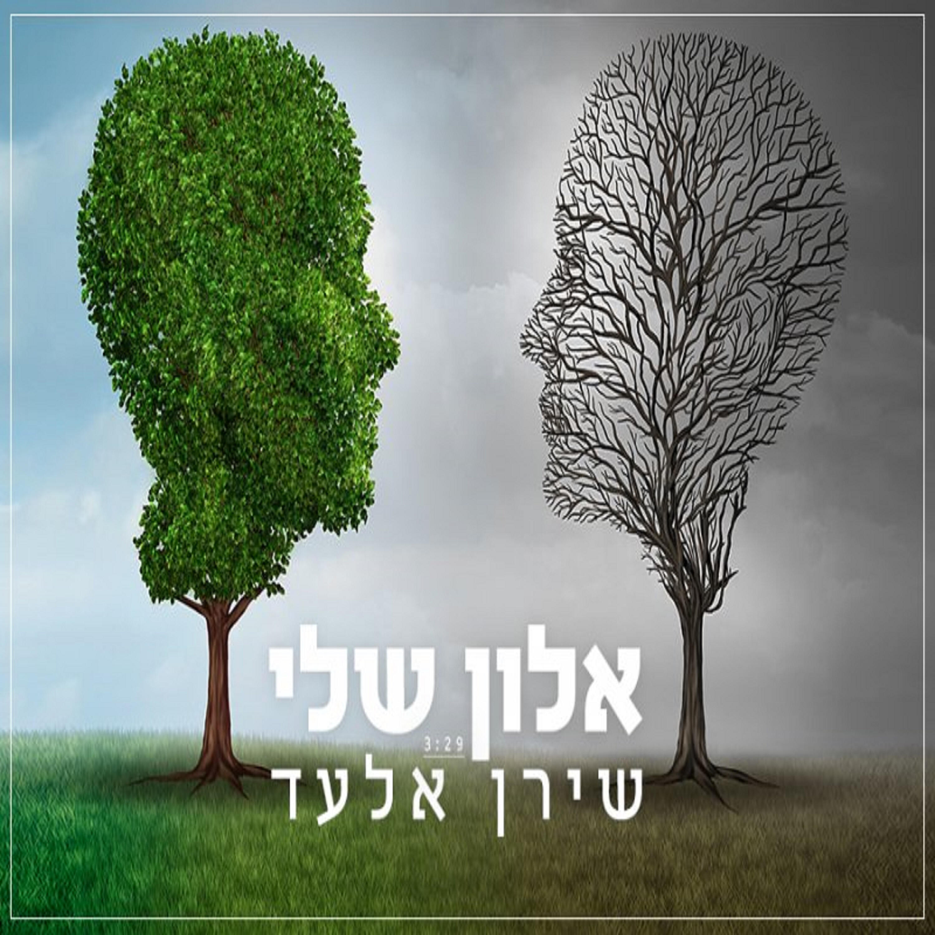 שירן אלעד