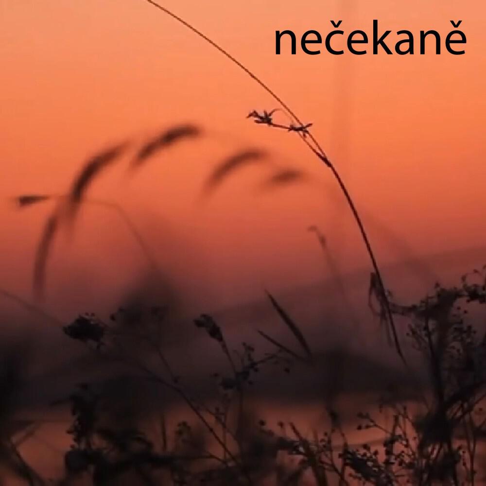 Релиз Nečekaně