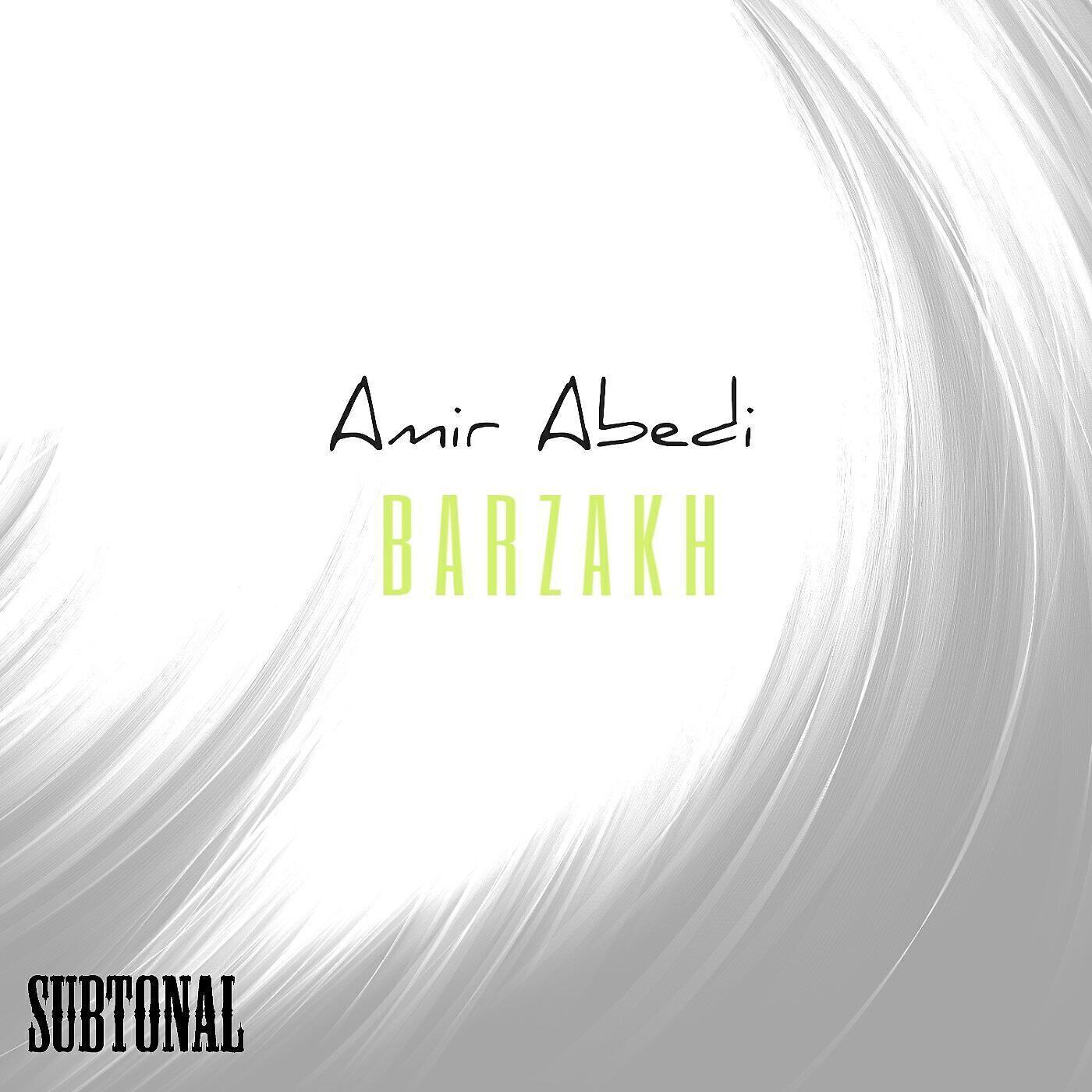 Amir Abedi