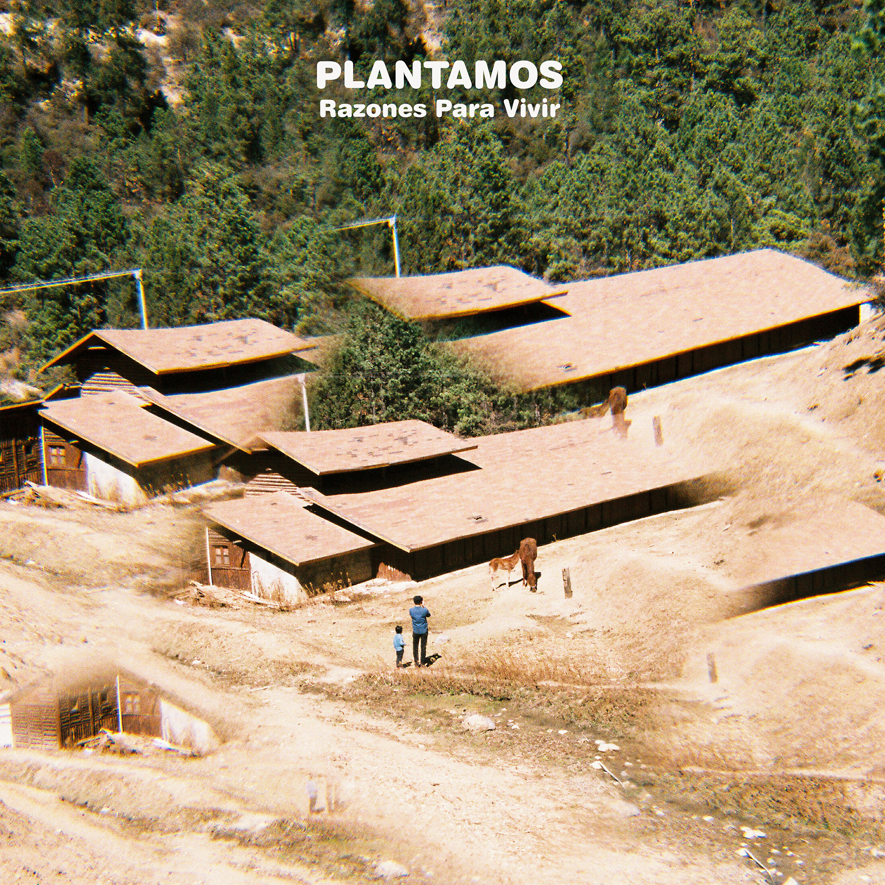 Plantamos