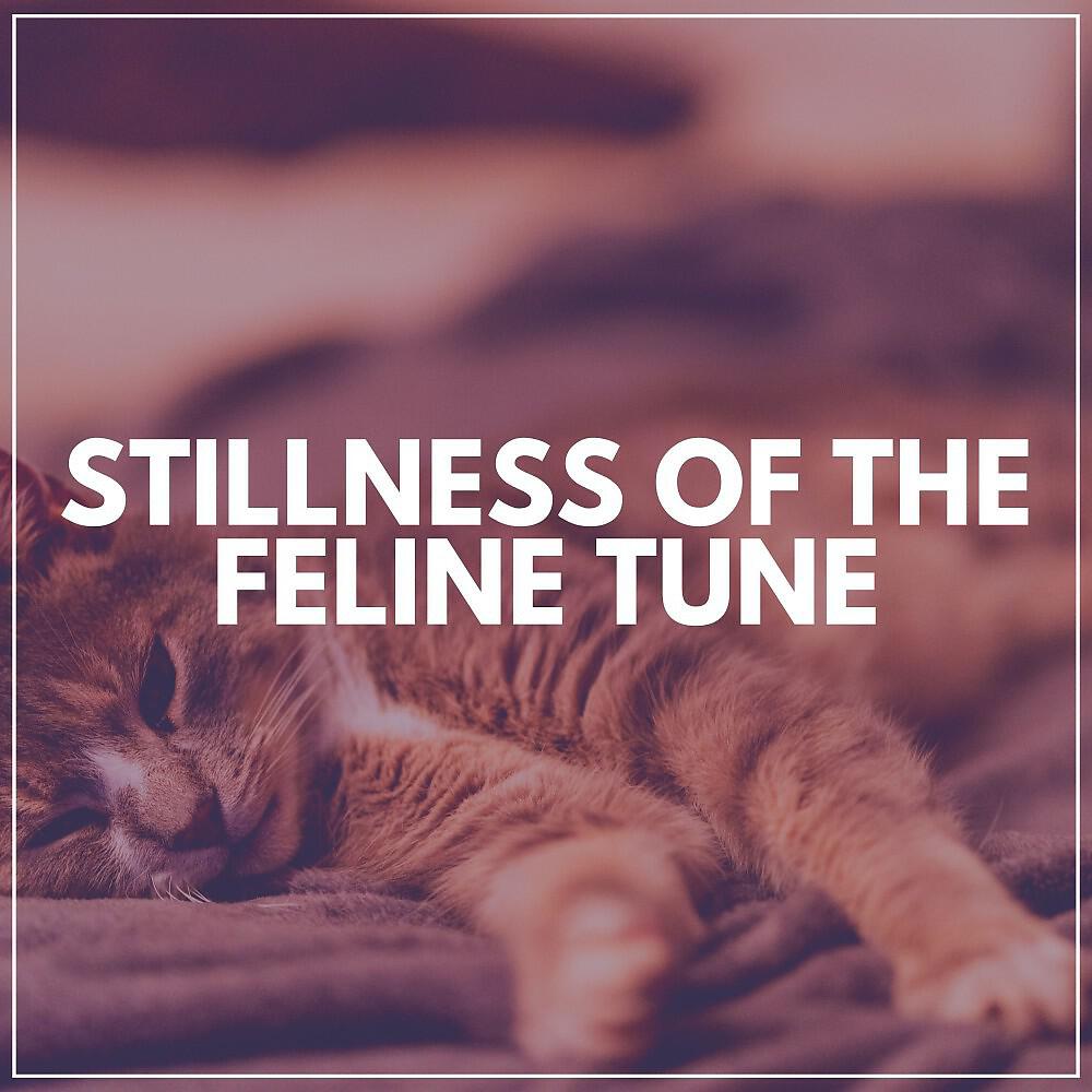Релиз Stillness of the Feline Tune