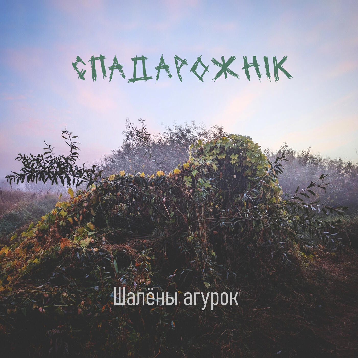 Релиз Шалёны агурок