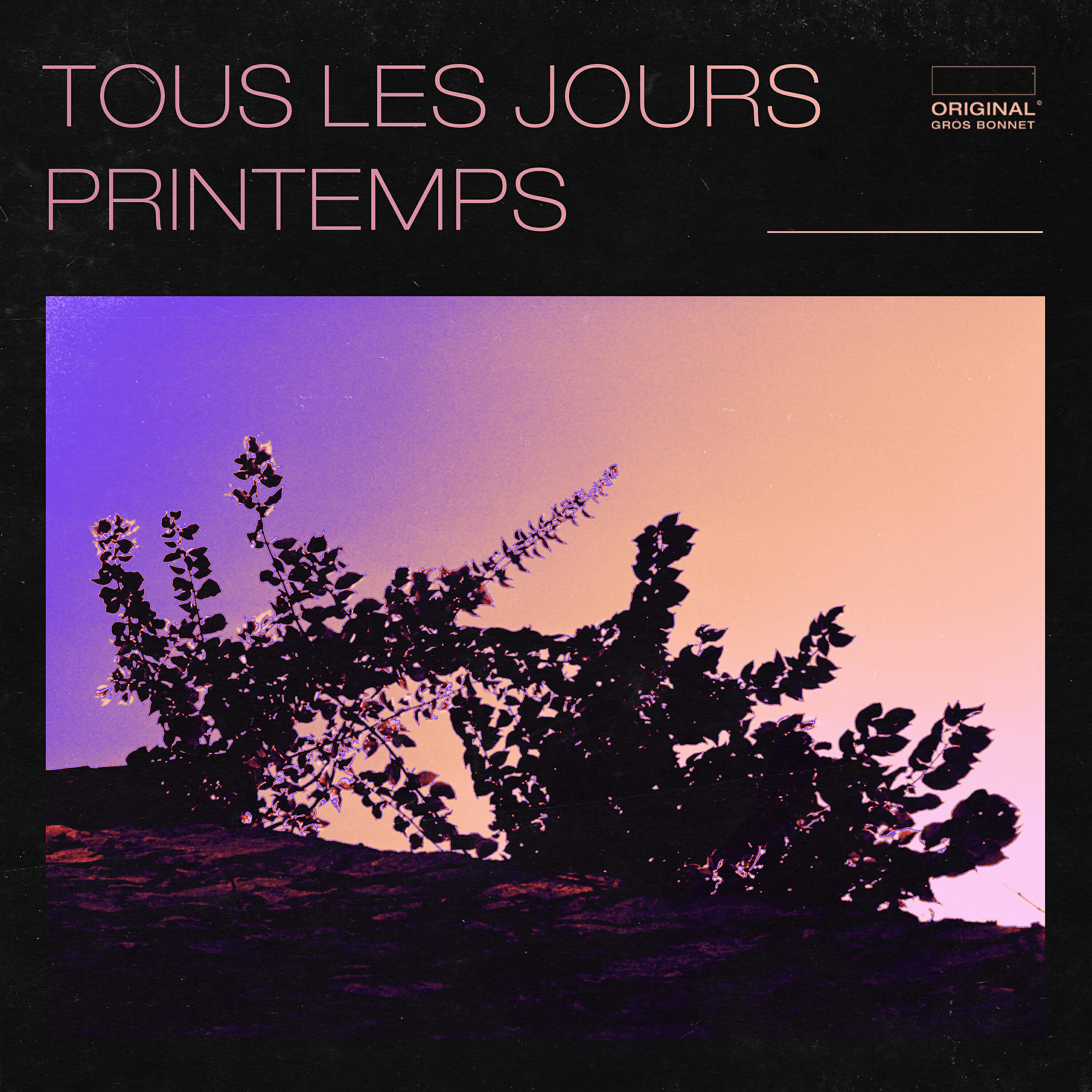 Релиз Tous les jours printemps