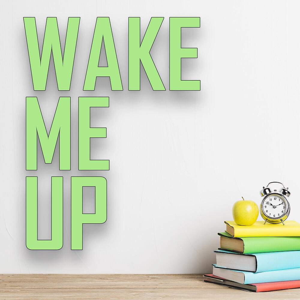 Релиз Wake Me Up