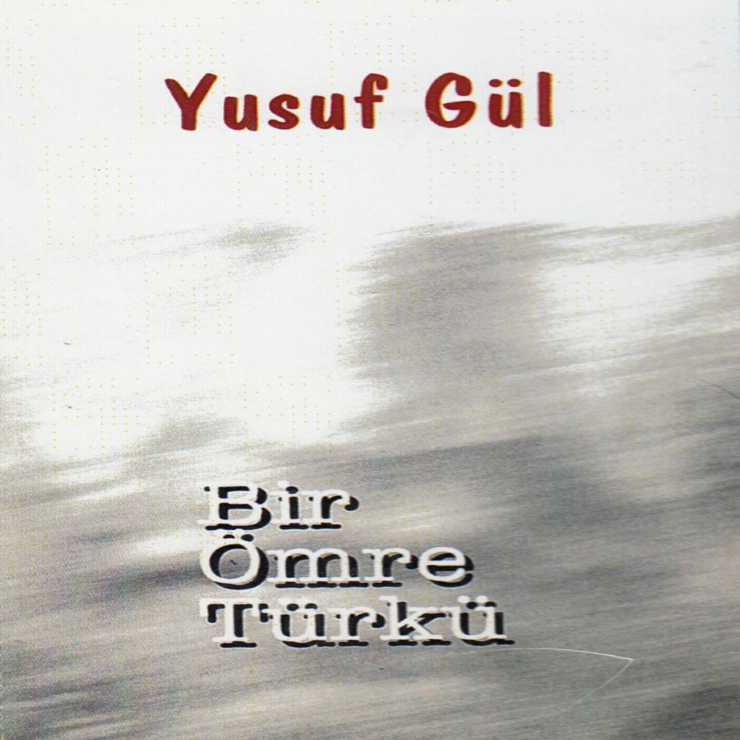 Релиз Bir Ömre Türkü