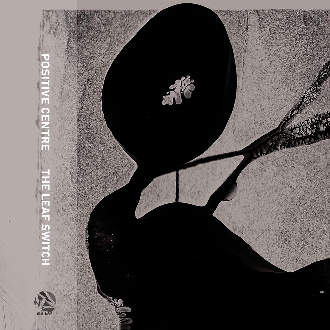 Релиз The Leaf Switch