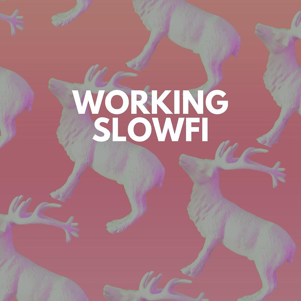 Релиз Working Slowfi