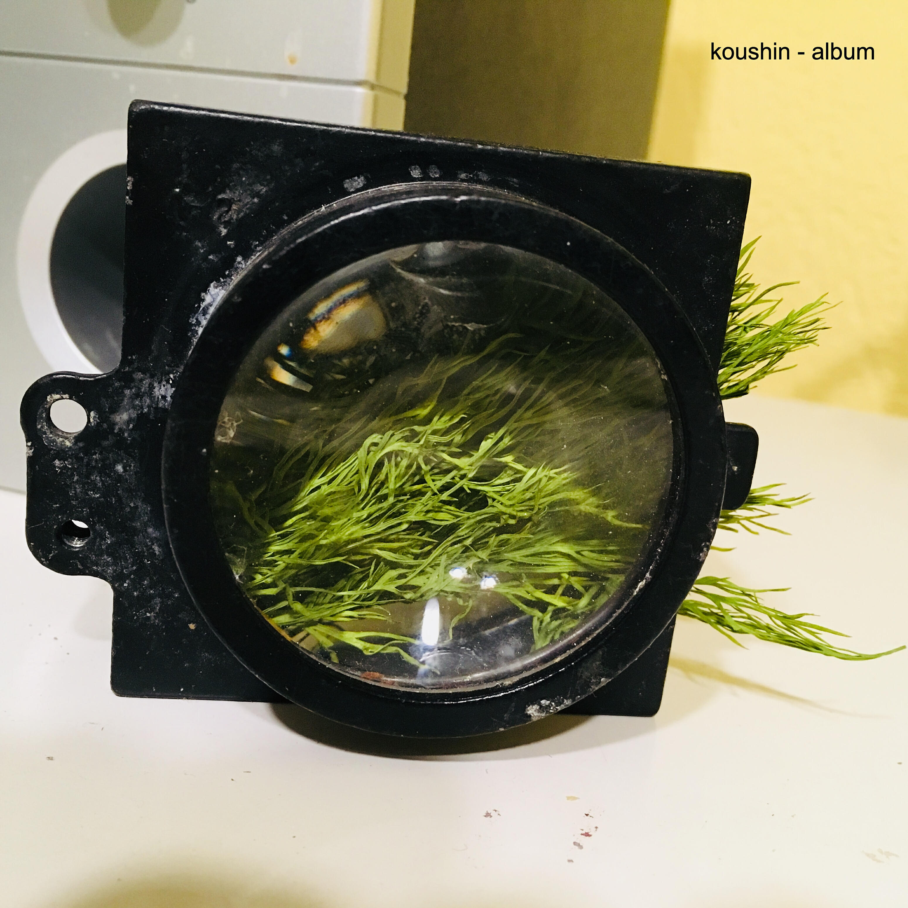 Релиз Album