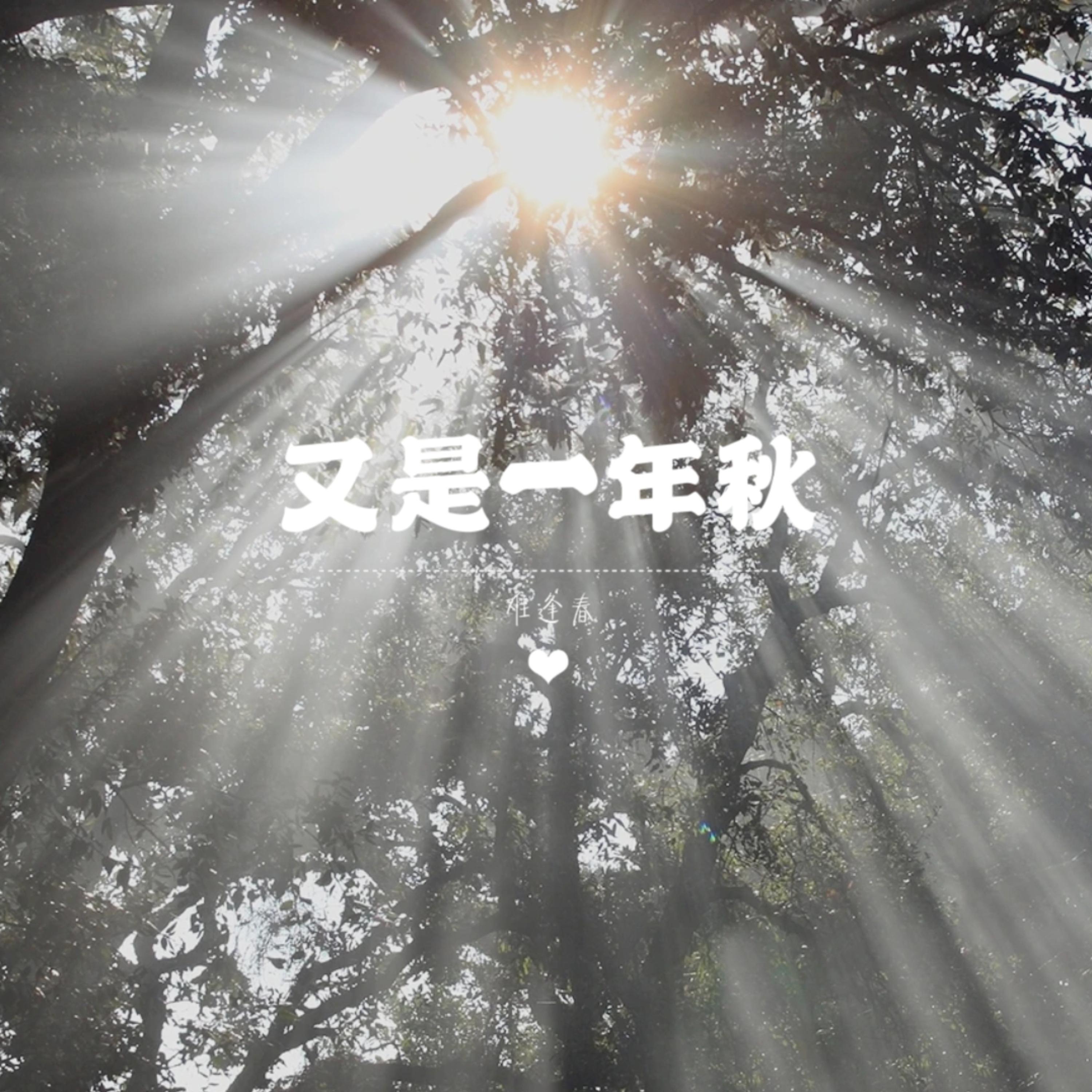 Релиз 又是一年秋