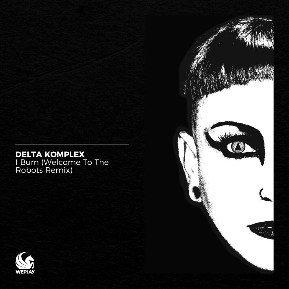 Delta Komplex
