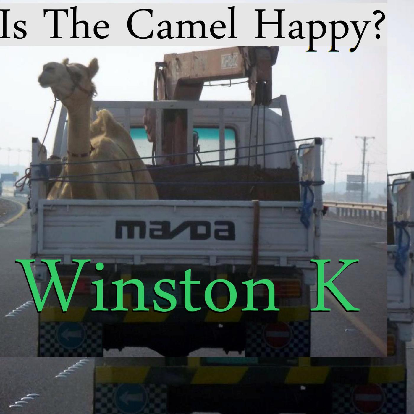 Релиз Is the Camel Happy?