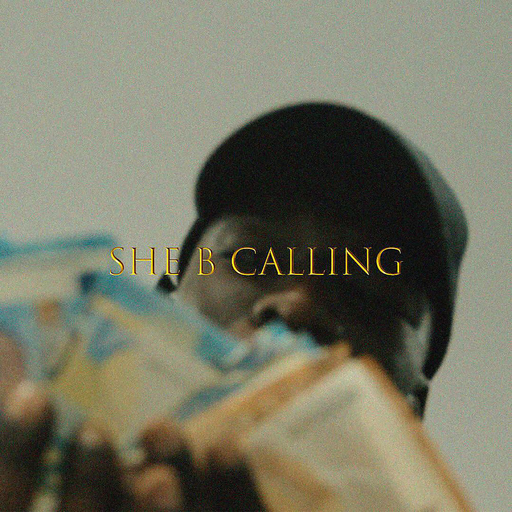 Релиз She B Calling