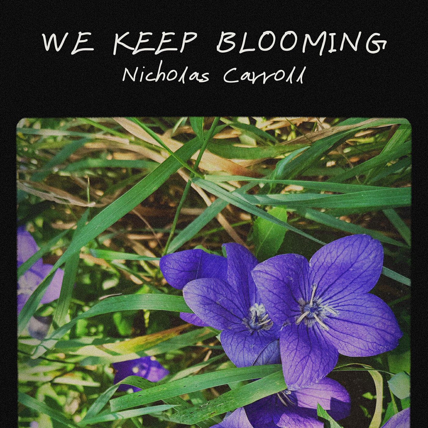 Релиз We Keep Blooming