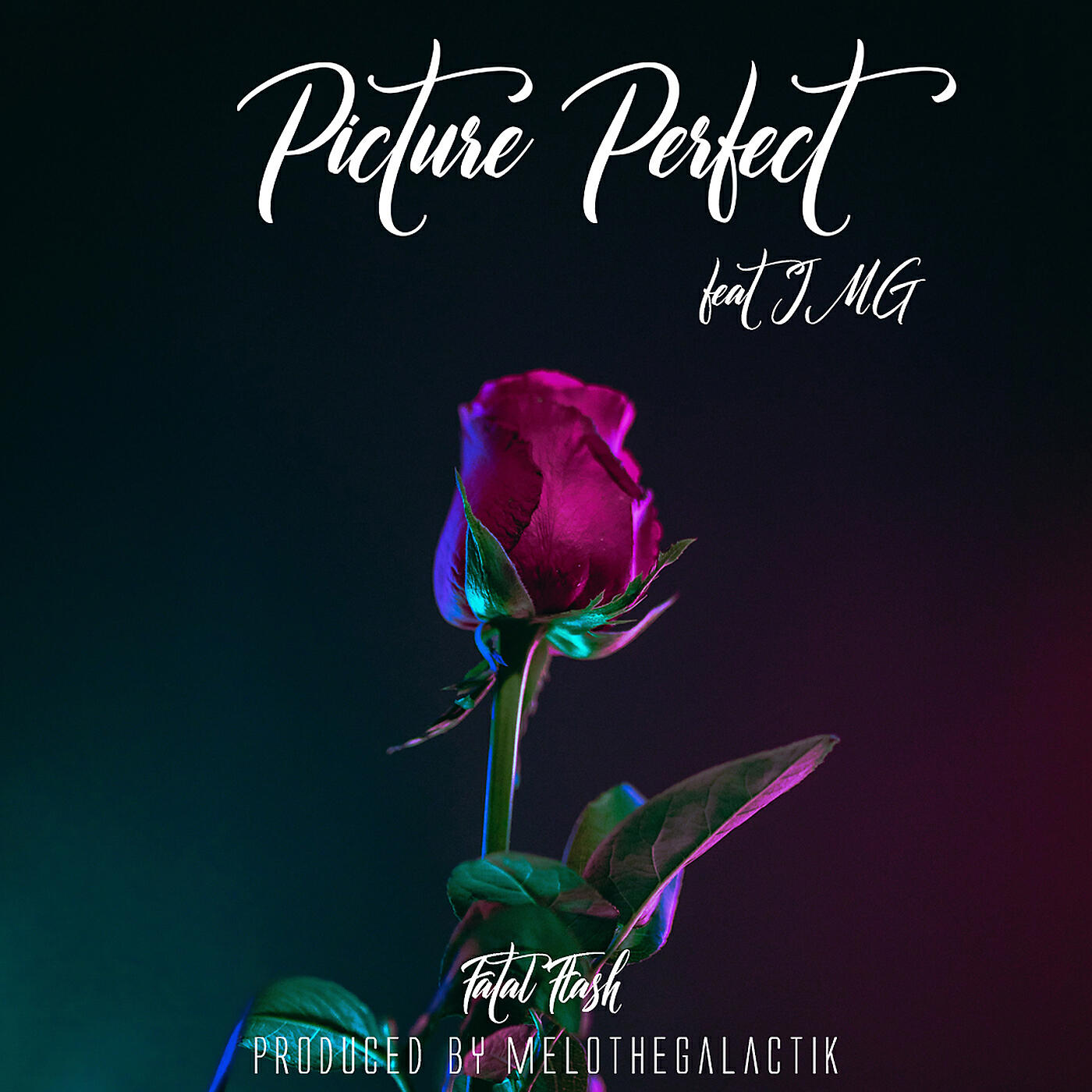 Релиз Picture Perfect