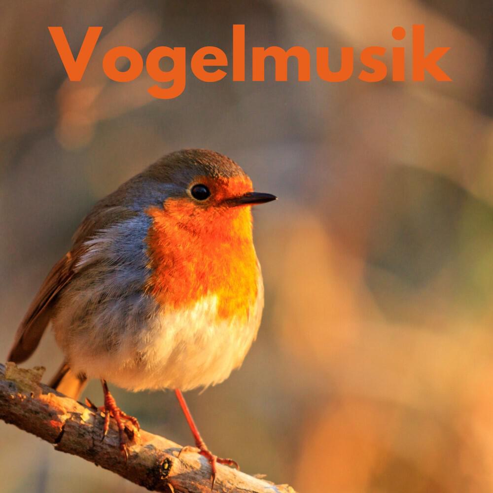 Релиз Vogelmusik