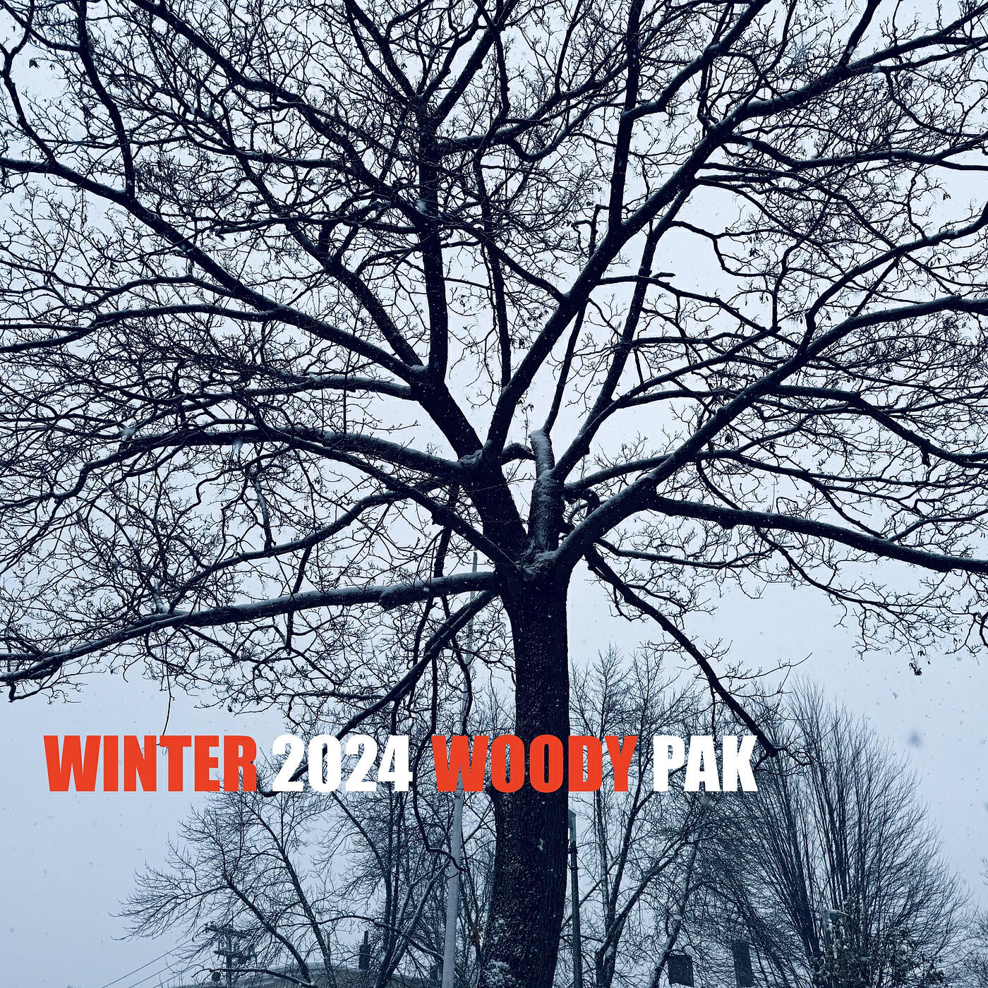 Релиз Winter 2024