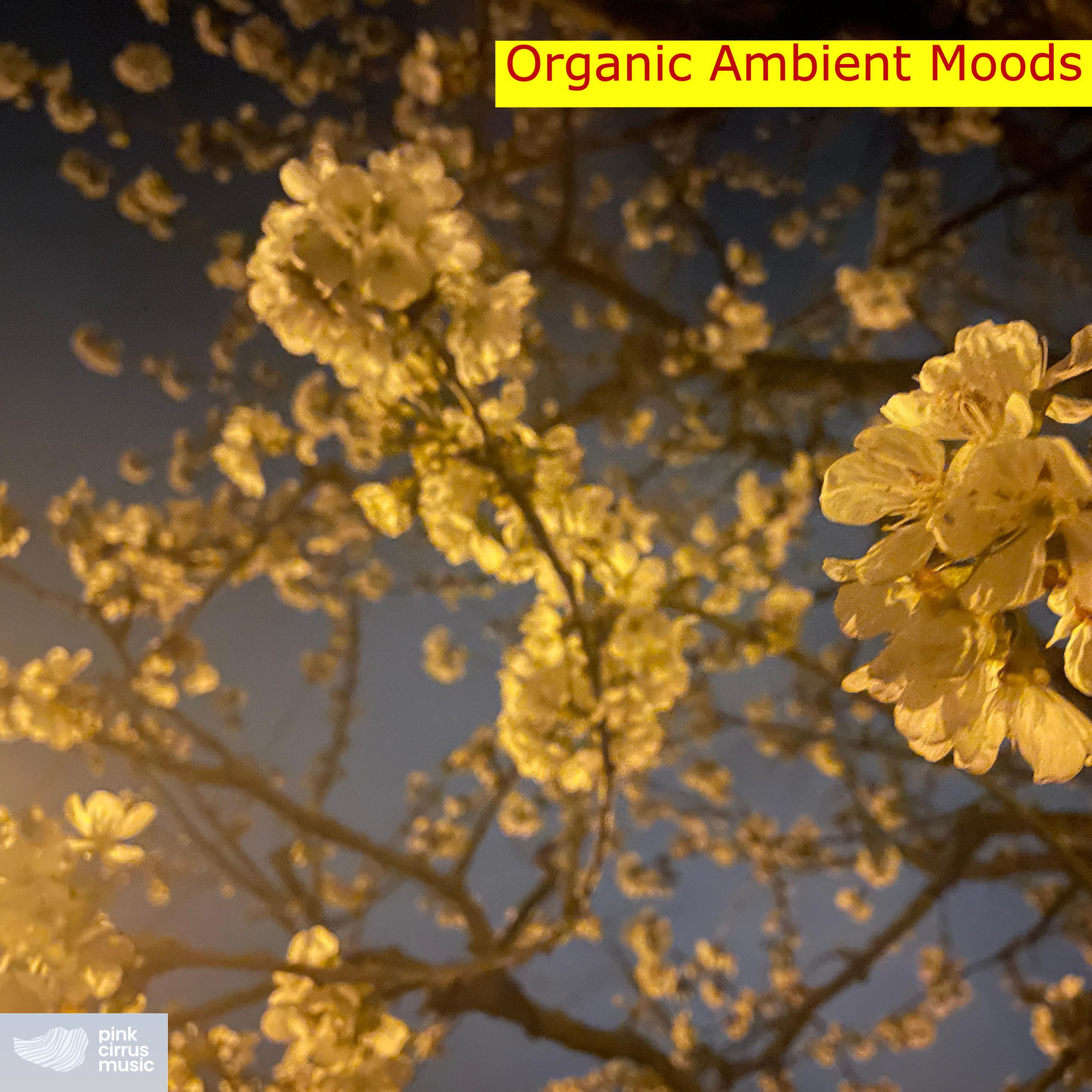Релиз Organic Ambient Moods