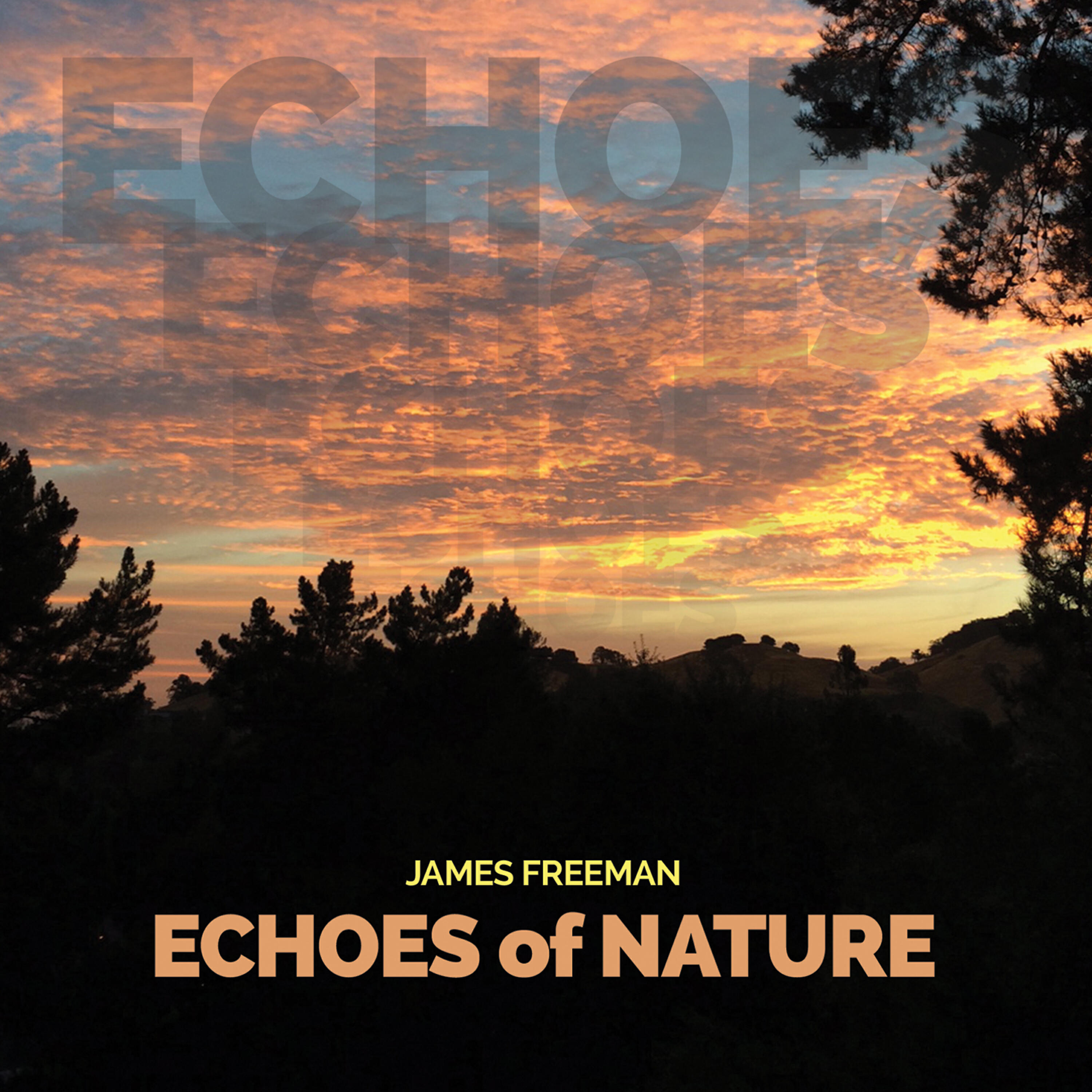 Релиз Echoes of Nature