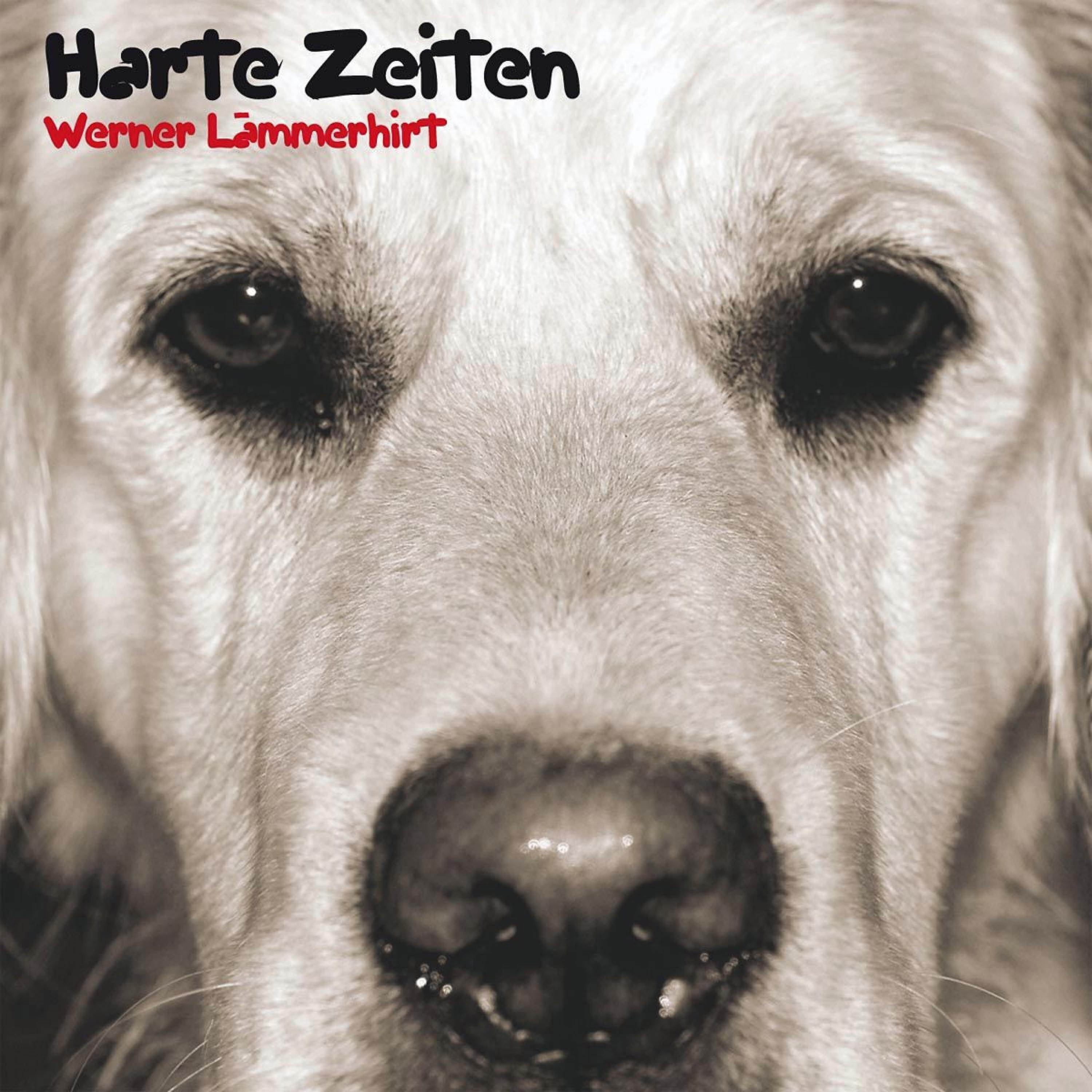 Релиз Harte Zeiten