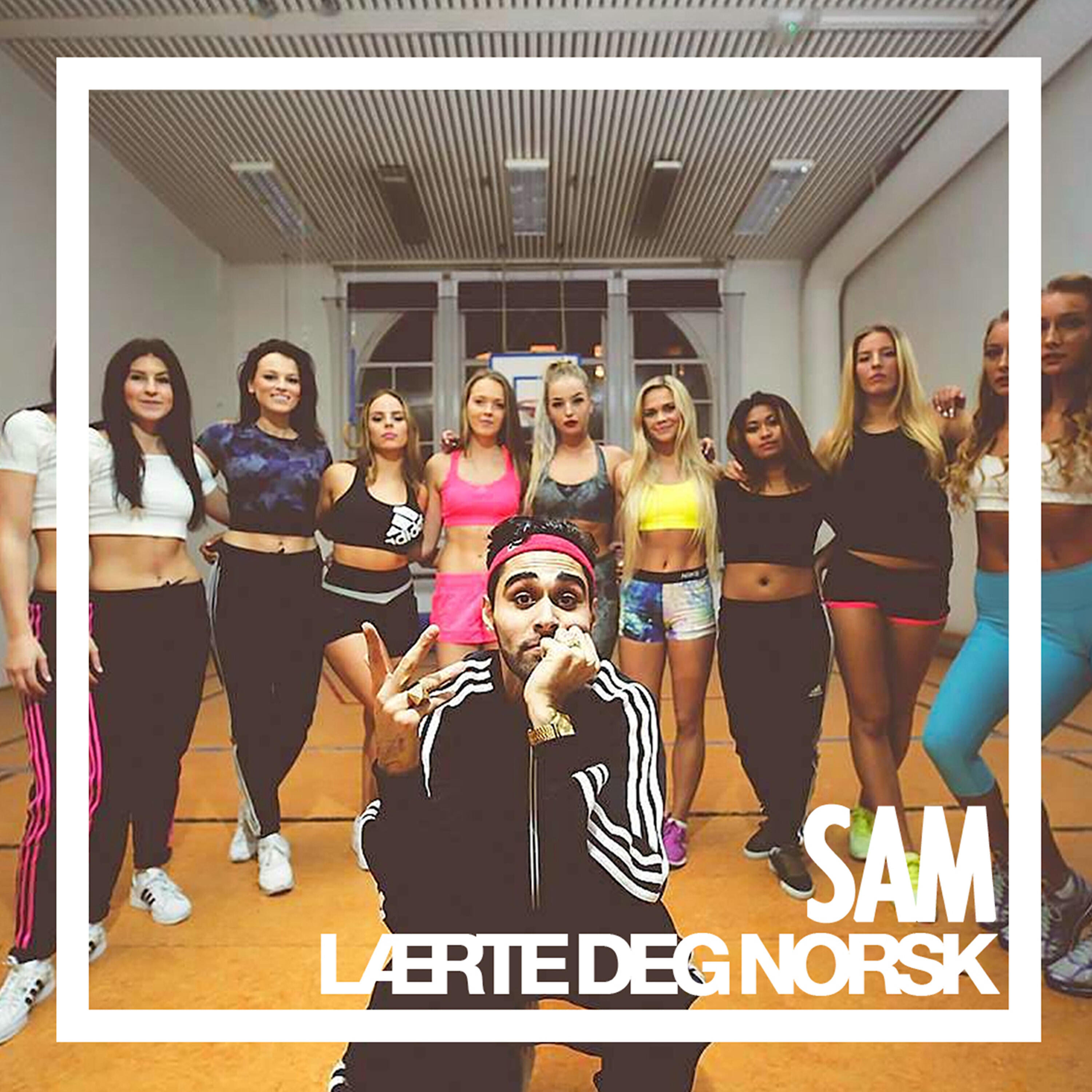Скачать песню Sam, Fabe, UMP - Lærte deg norsk (Remix) бесплатно в MP3 для Android и iOS