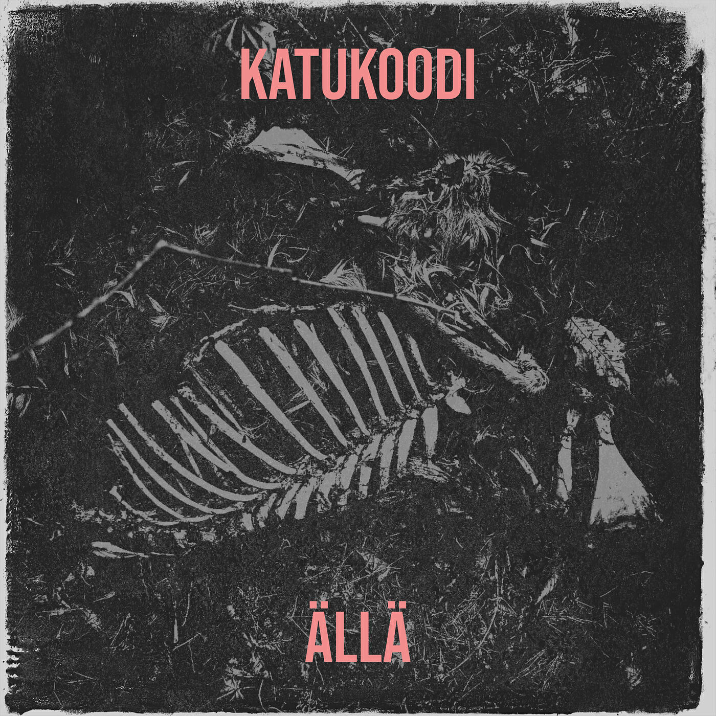 Релиз Katukoodi