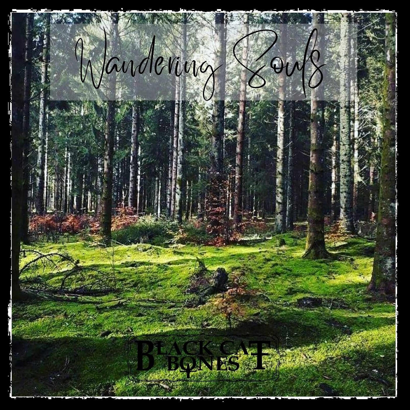 Релиз Wandering Souls