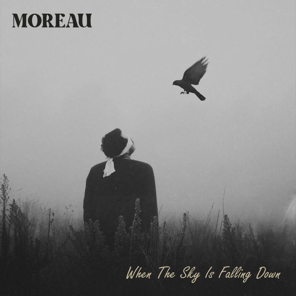 Релиз When the Sky Is Falling Down