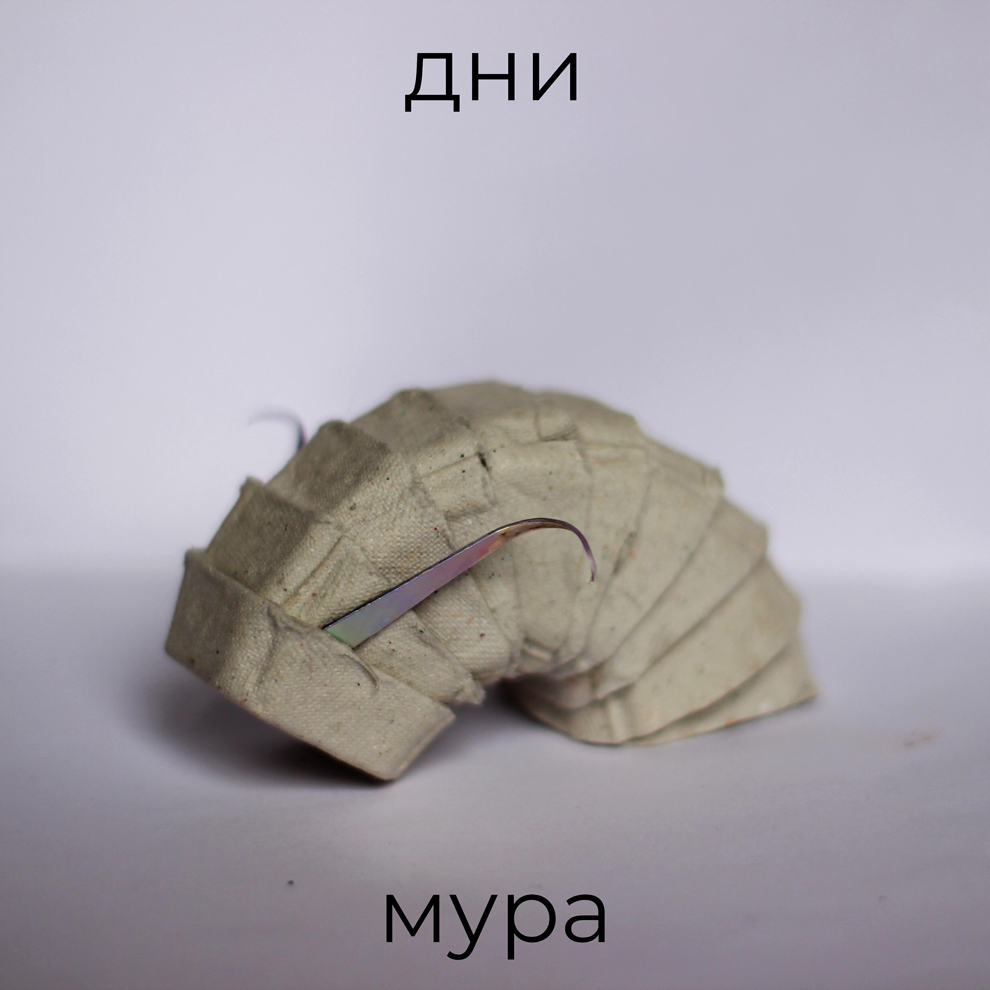 Релиз Дни