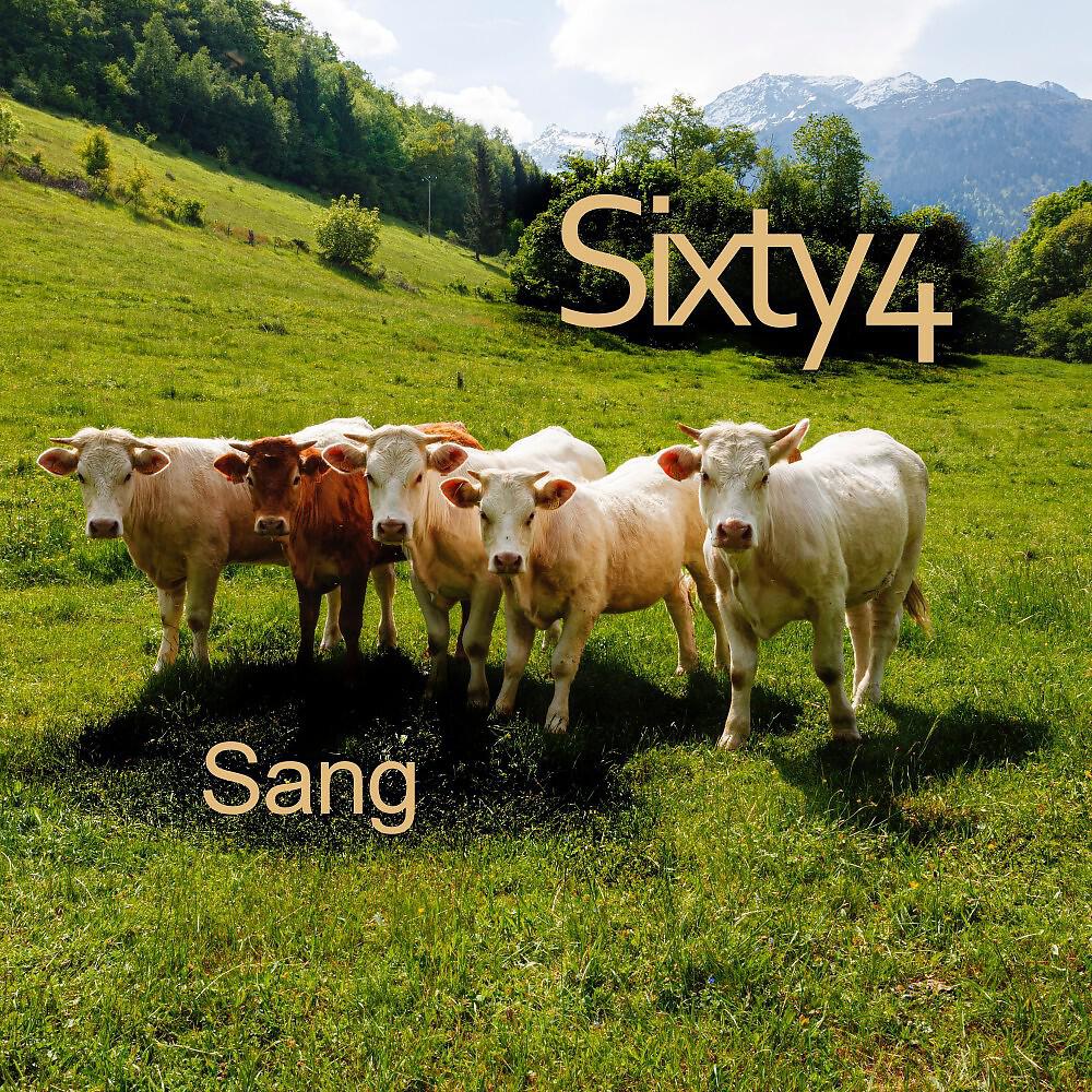 Релиз Sang