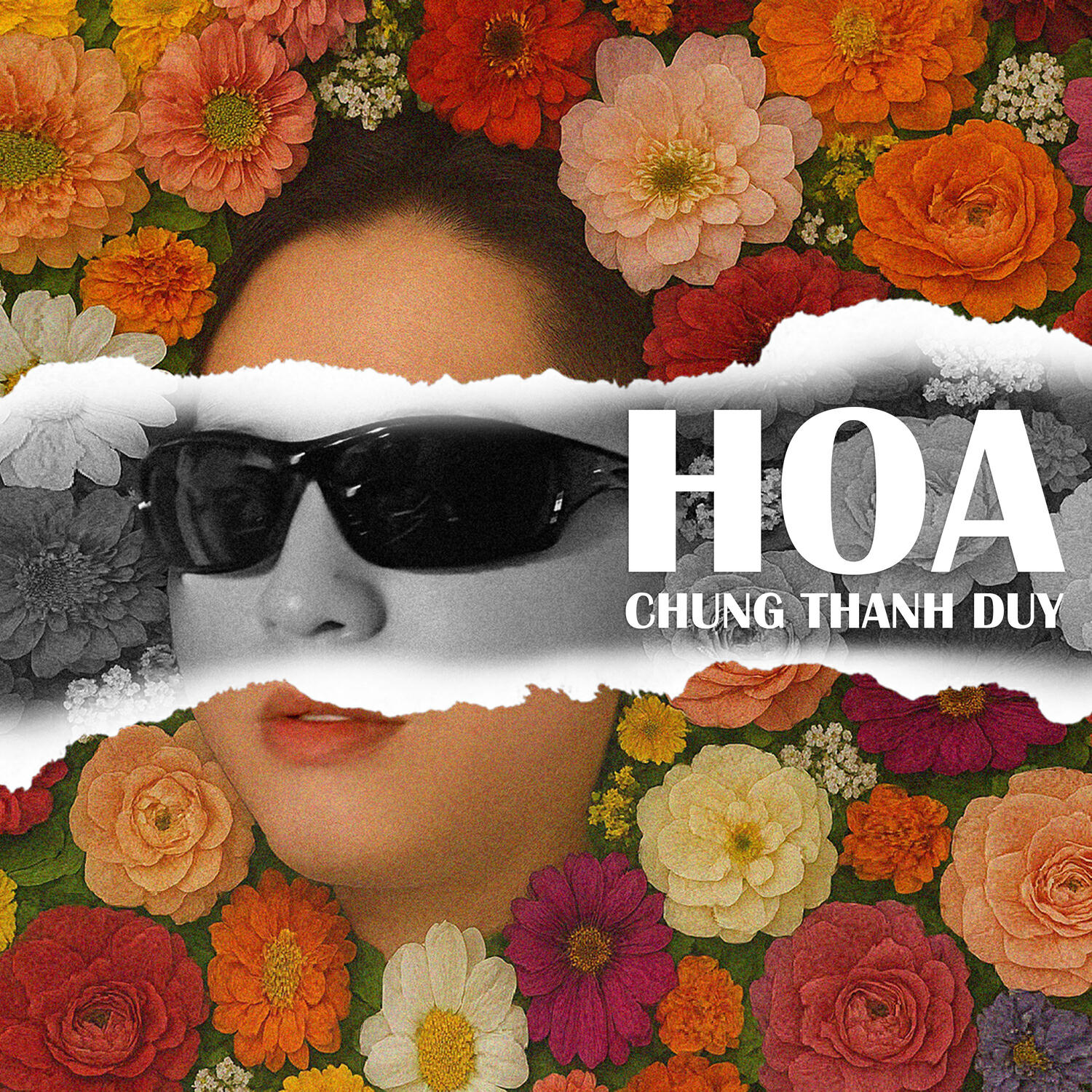 Релиз Hoa
