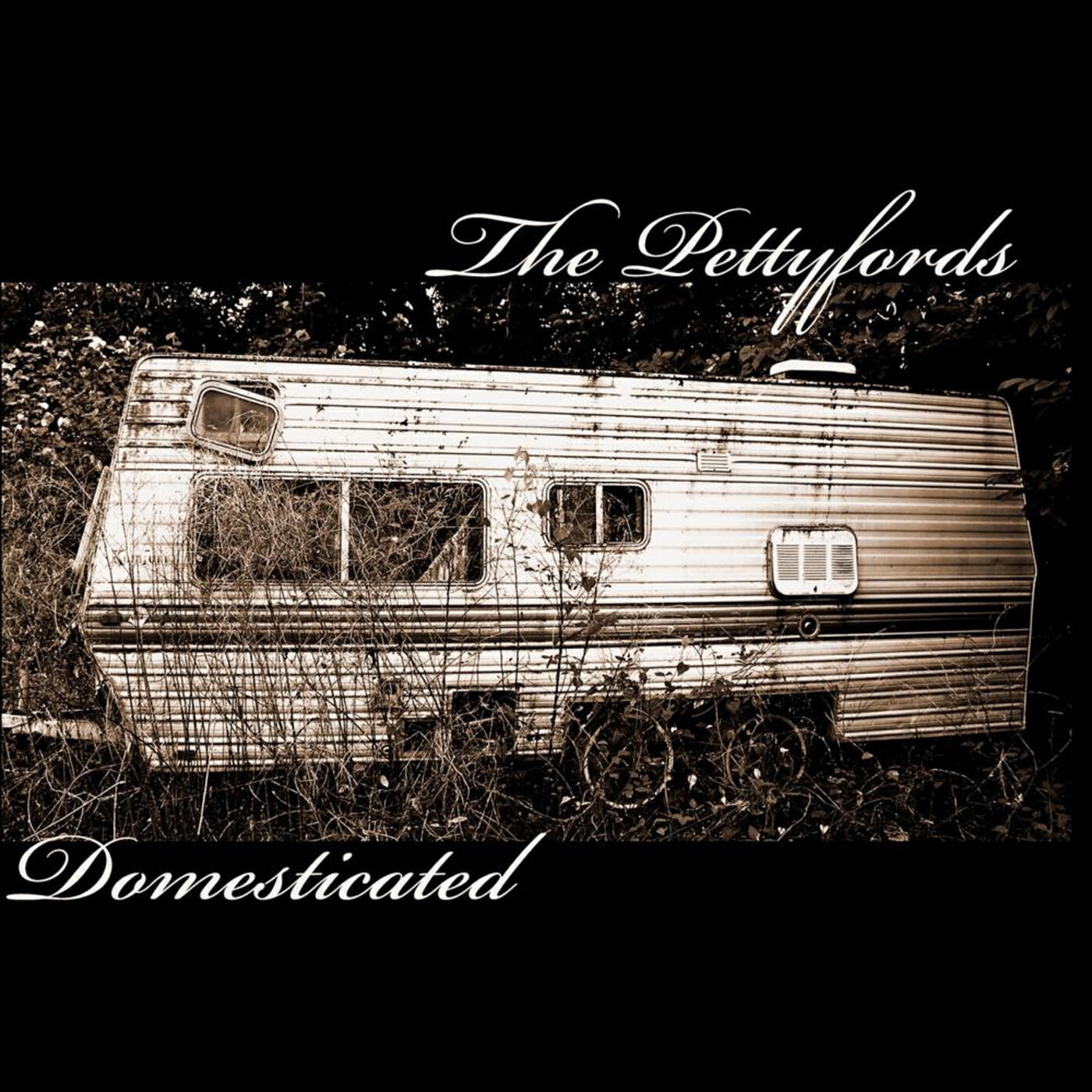 Релиз Domesticated