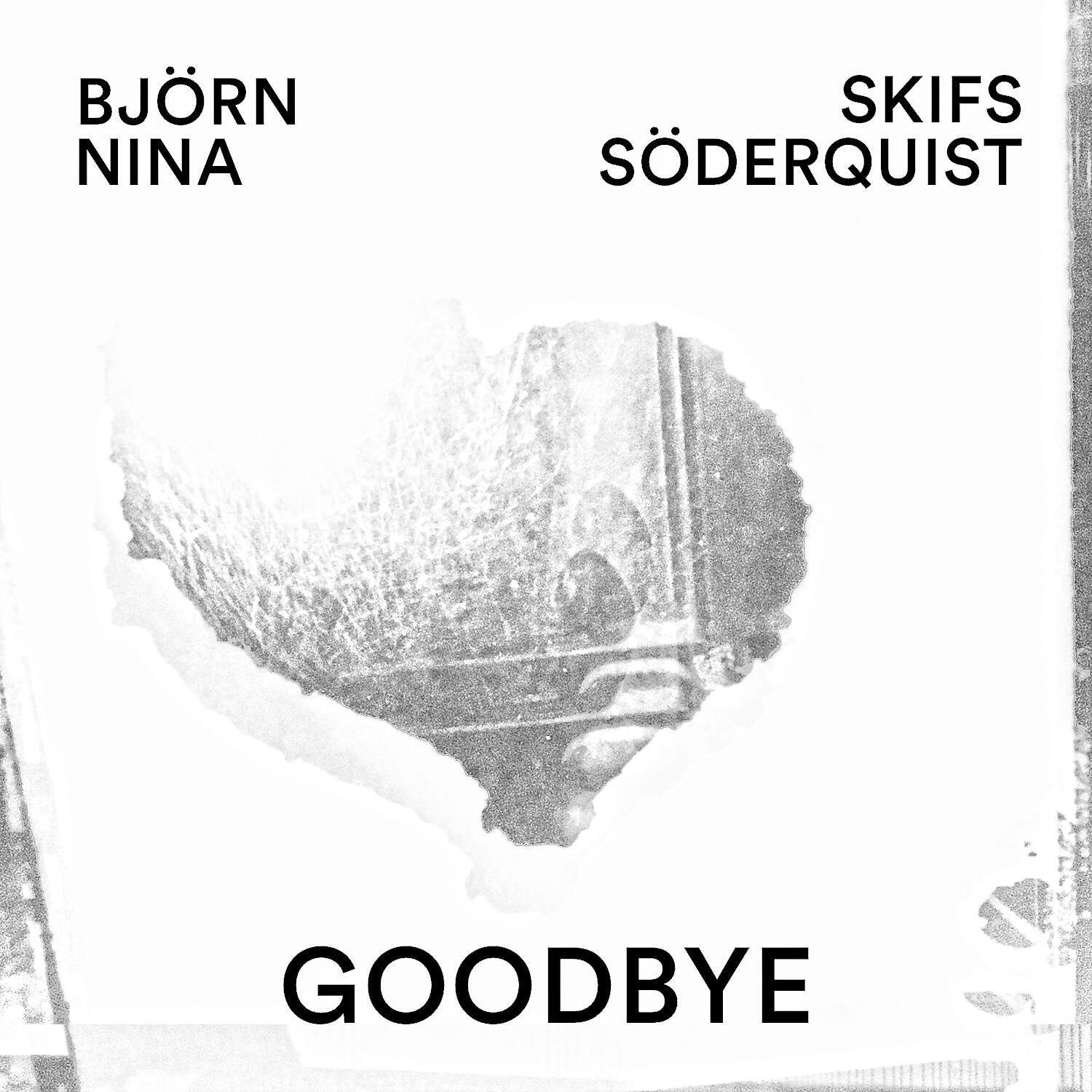 Постер альбома Goodbye