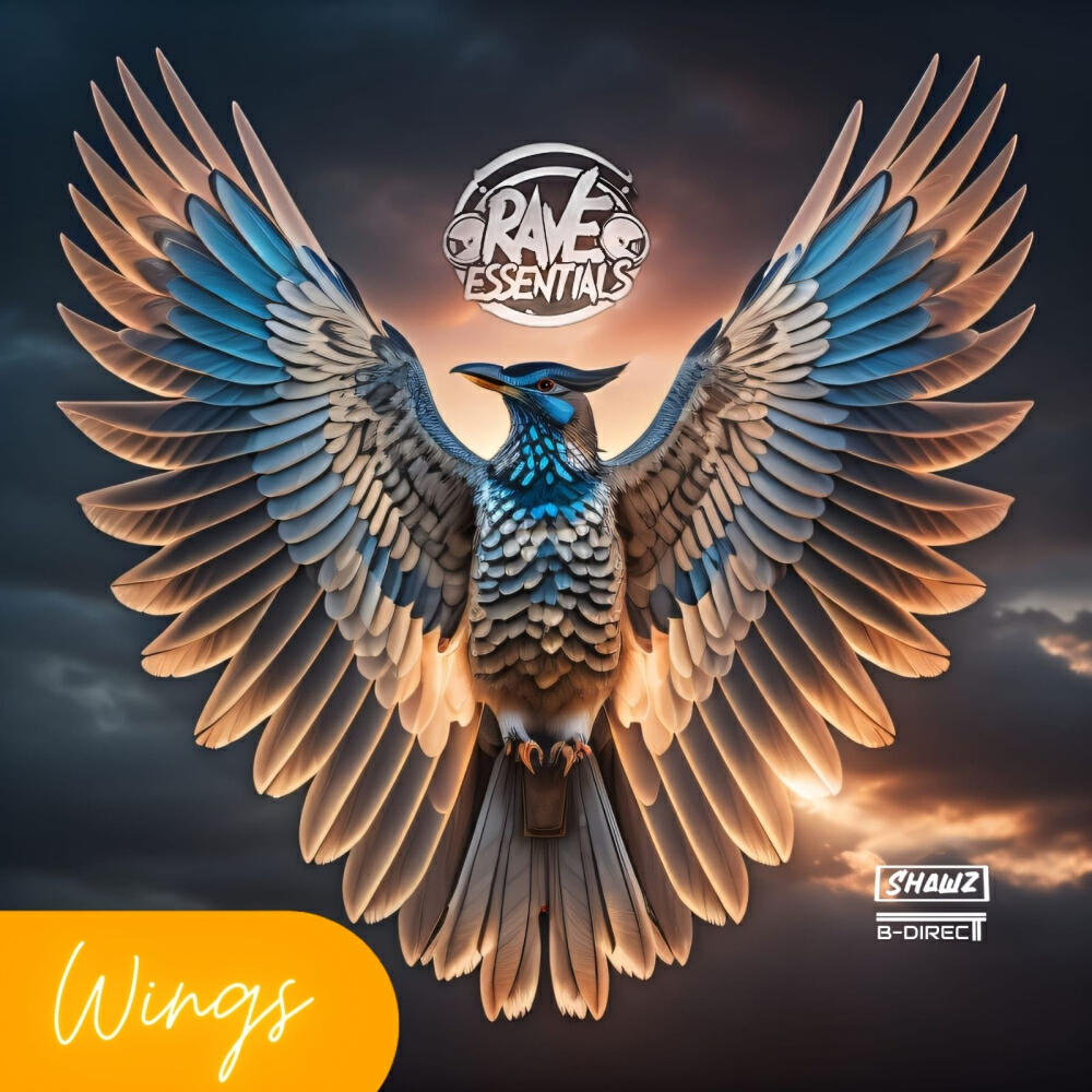 Релиз Wings