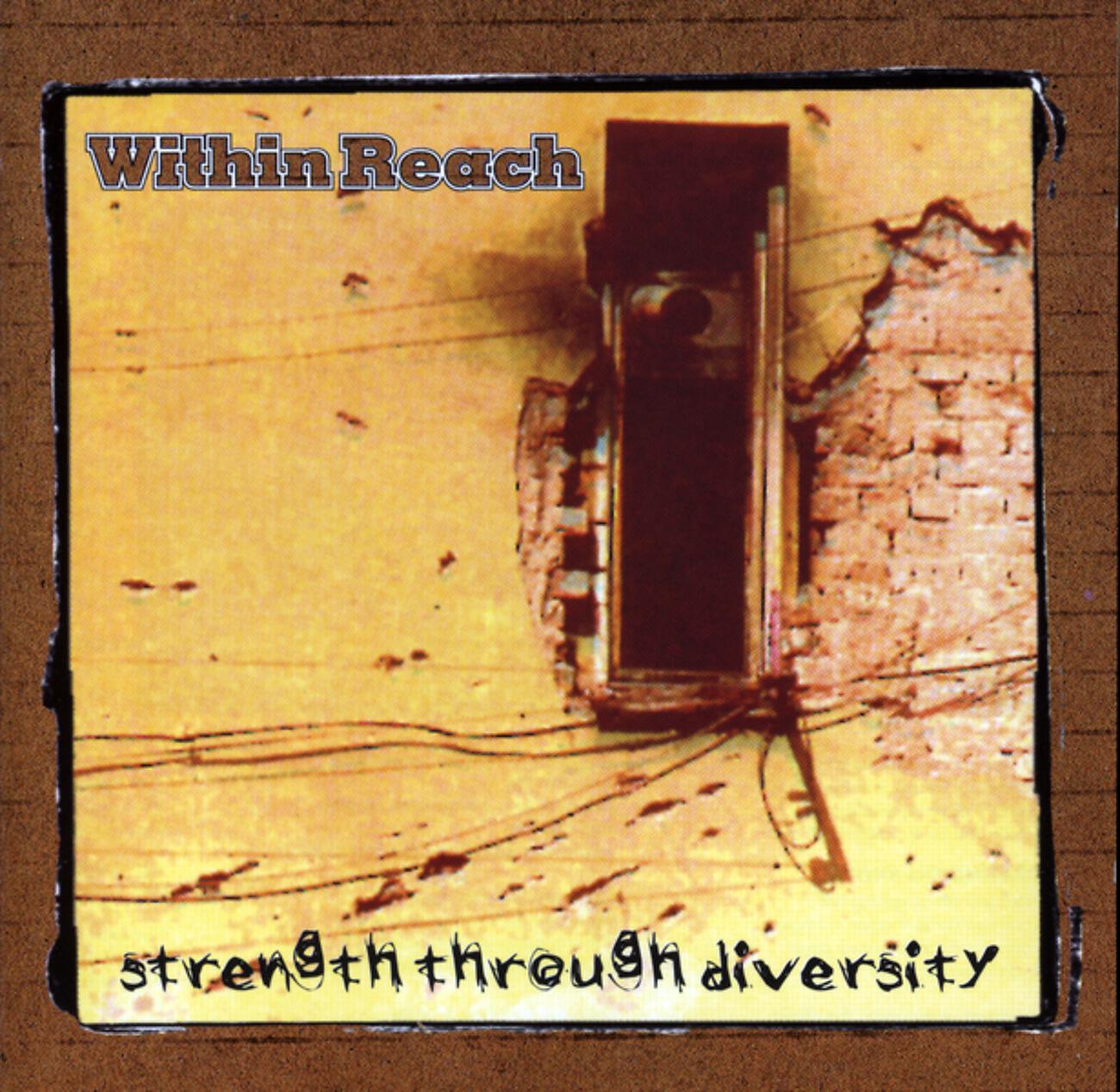 Релиз Strength Through Diversity